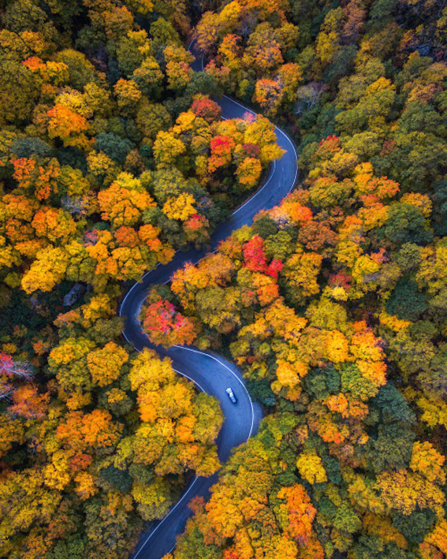 Drone Picture Capturing The Beauty Of Autumn 2 900×1125