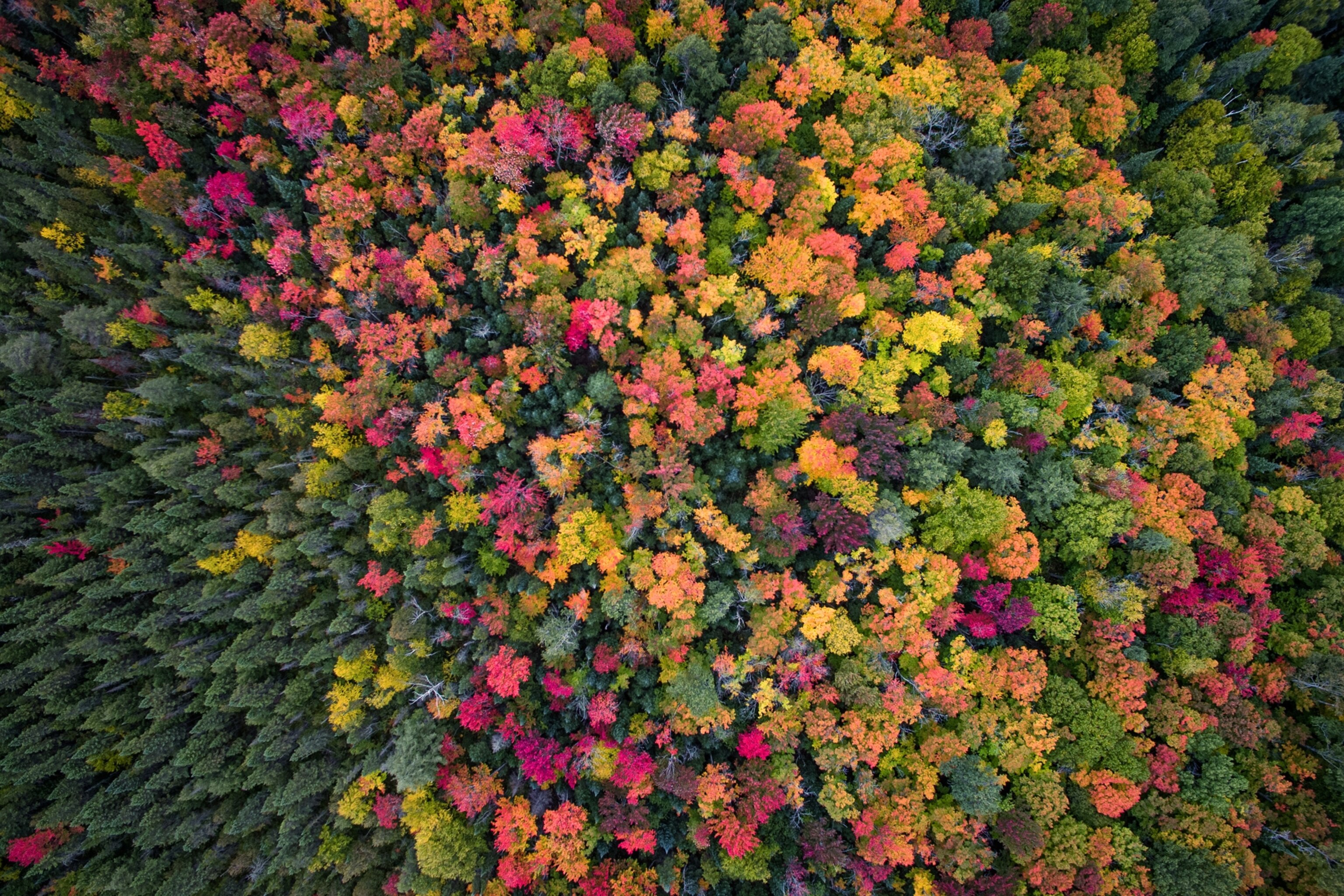 Stunning Fall Picture Taken