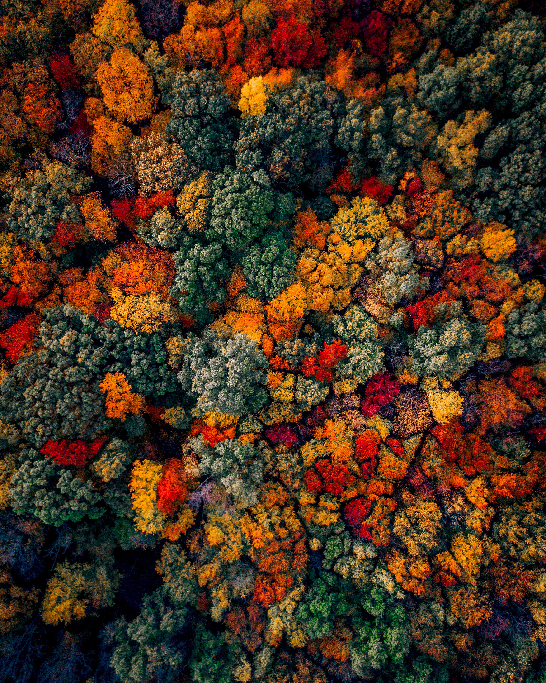 Daily Overview can't get enough of these fall drone shots! Check out this stunning view of the colorful foliage in northern New Jersey, USA