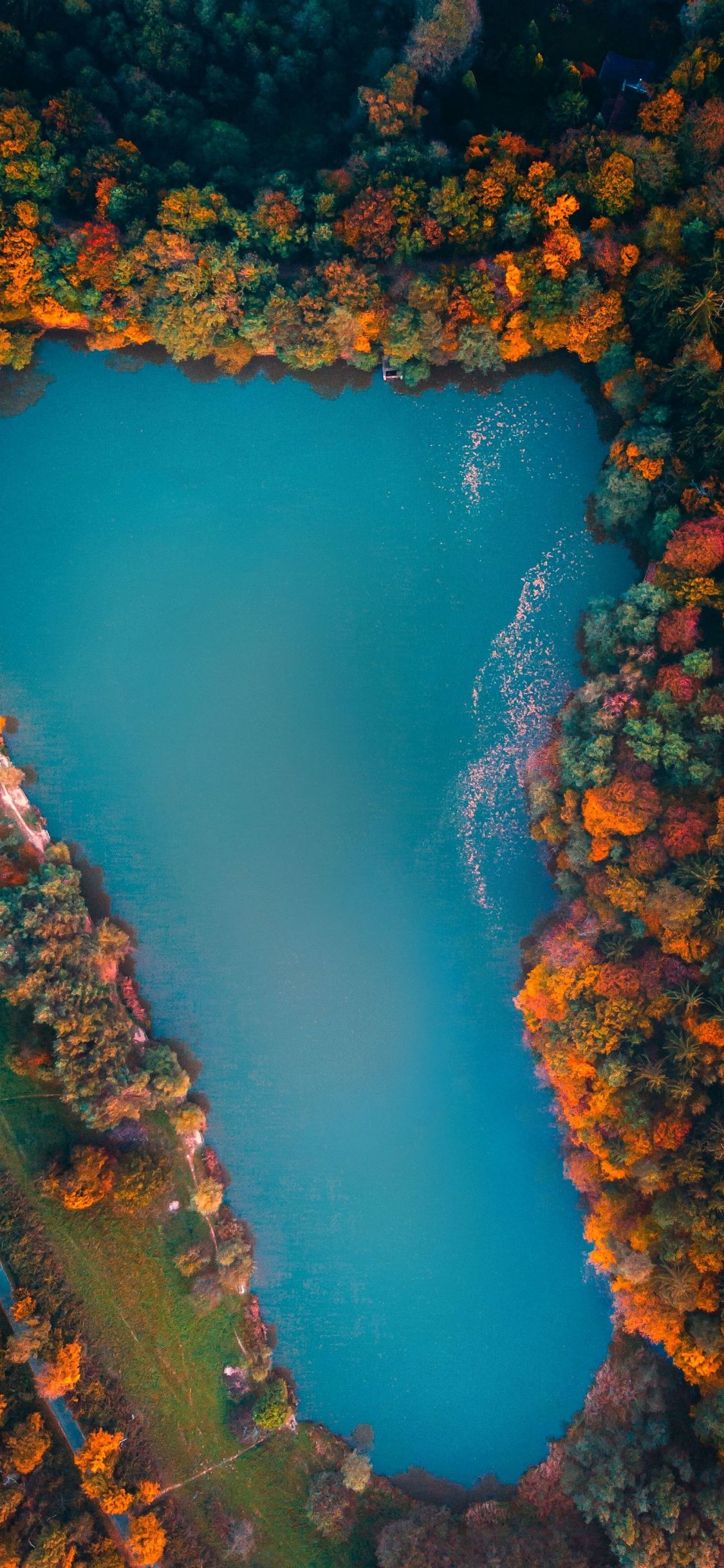 Lake, trees, aerial view, colorful, autumn, 1125x2436 wallpaper. Aerial photography drone, Nature wallpaper, Aerial view