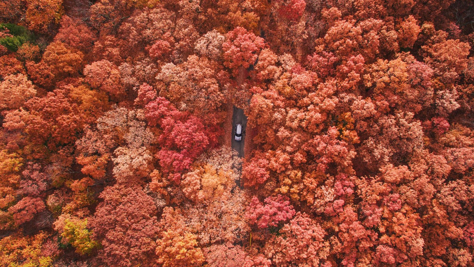 Quick Tips to Help You Take Better Drone Photo and Videos