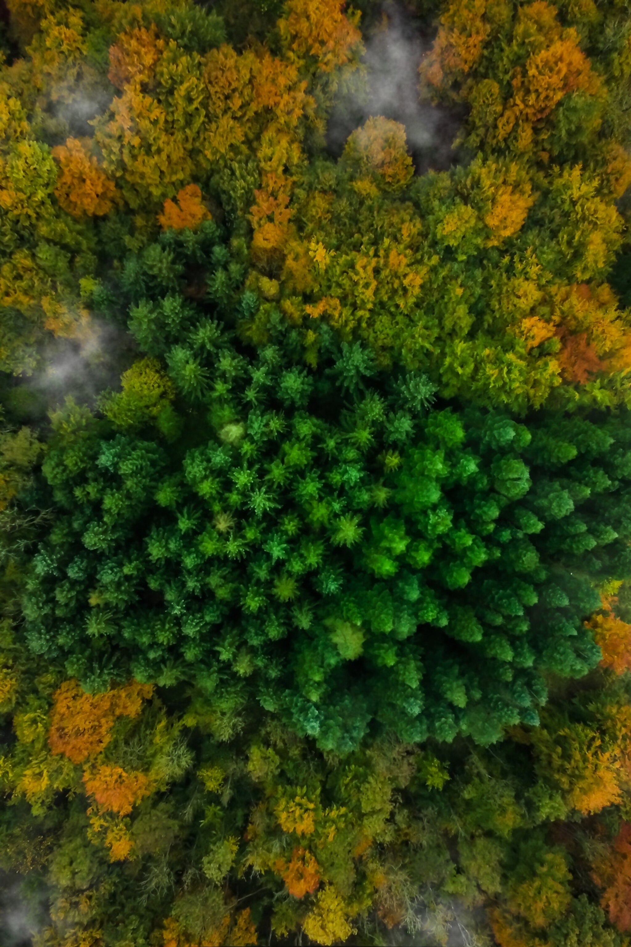 Stunning Fall Picture Taken