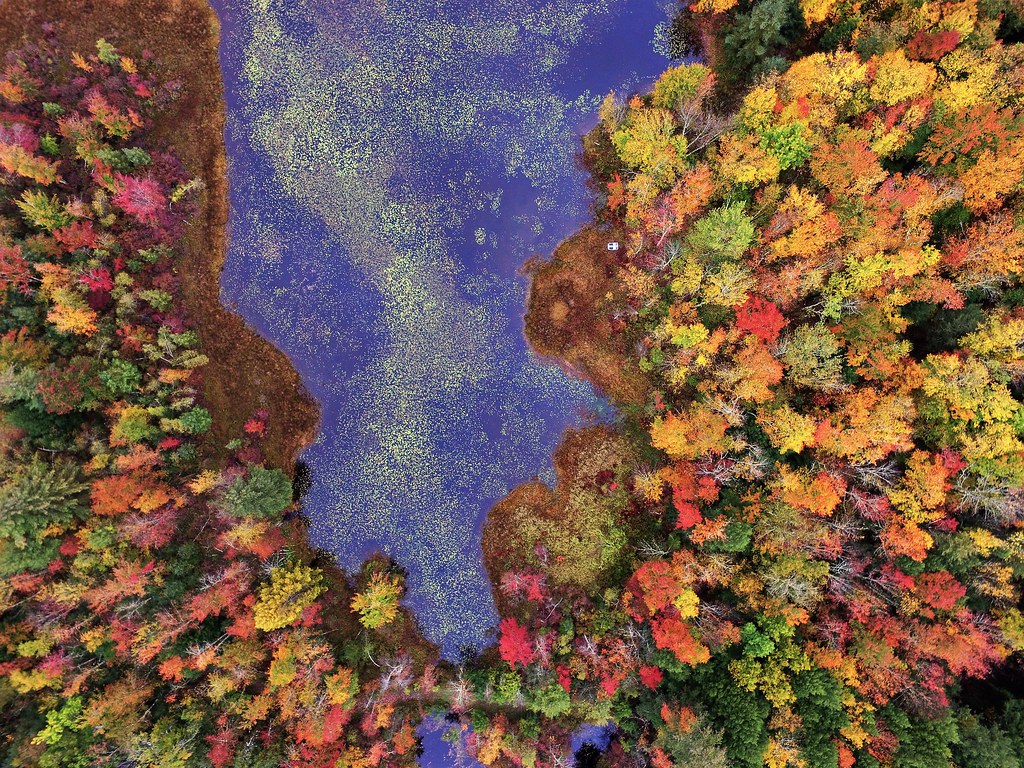 Autumn. Drone shot over Ulster Heights Lake, NY