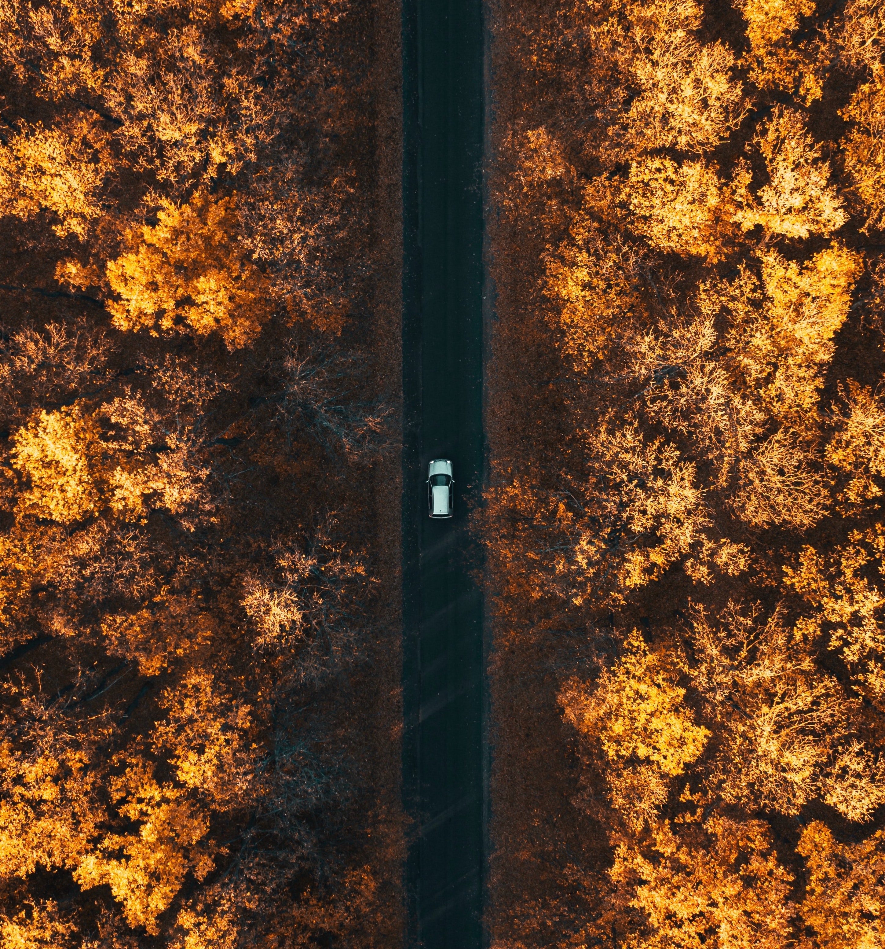 Epic Drone Shots Proving Mother Nature Looks Fine AF