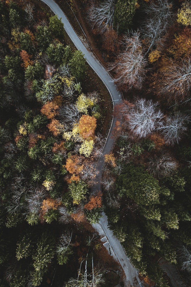Drone view of nature in autumn
