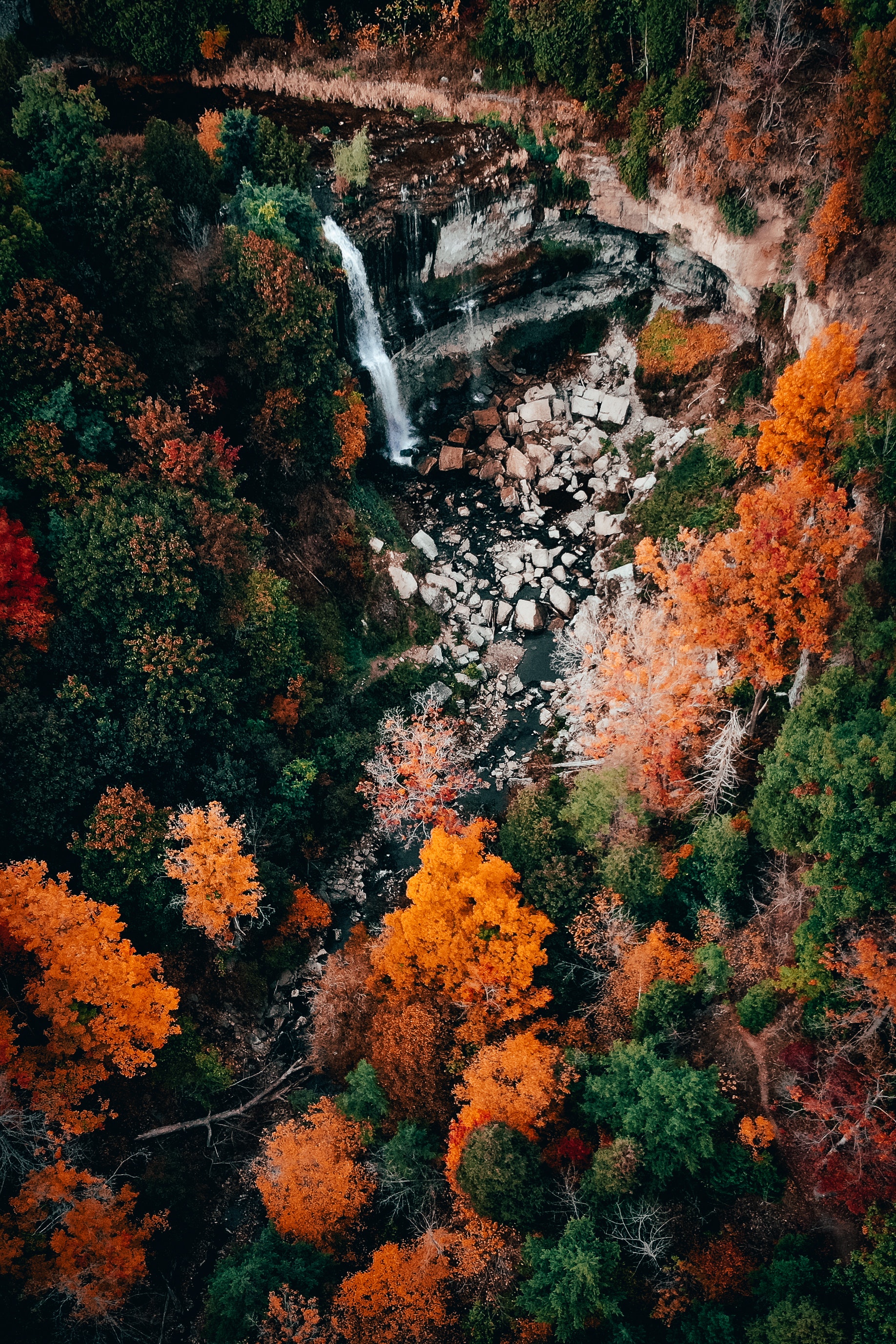 Drone Shot of Webster's Falls in Canada · Free
