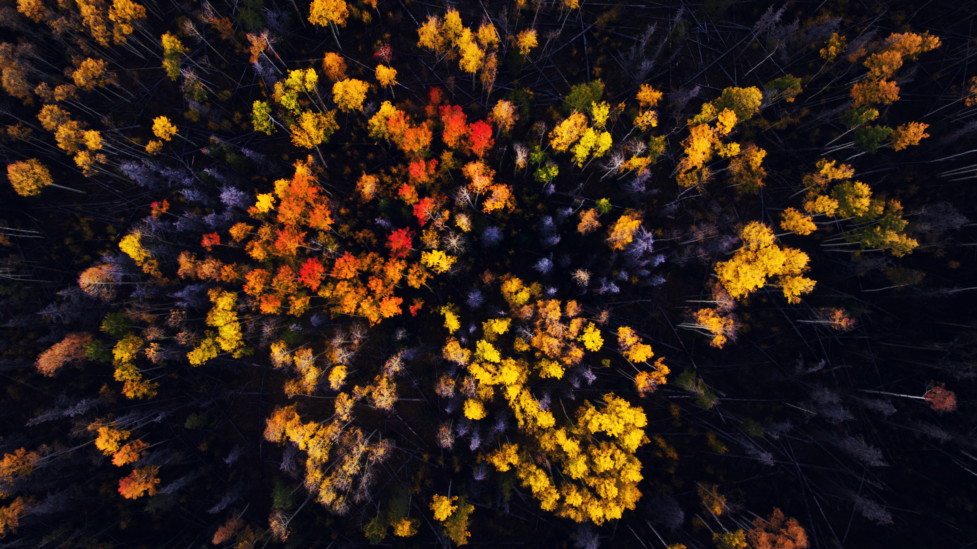 Wood Mountain Top Sky Color Fall Pattern Wallpaper