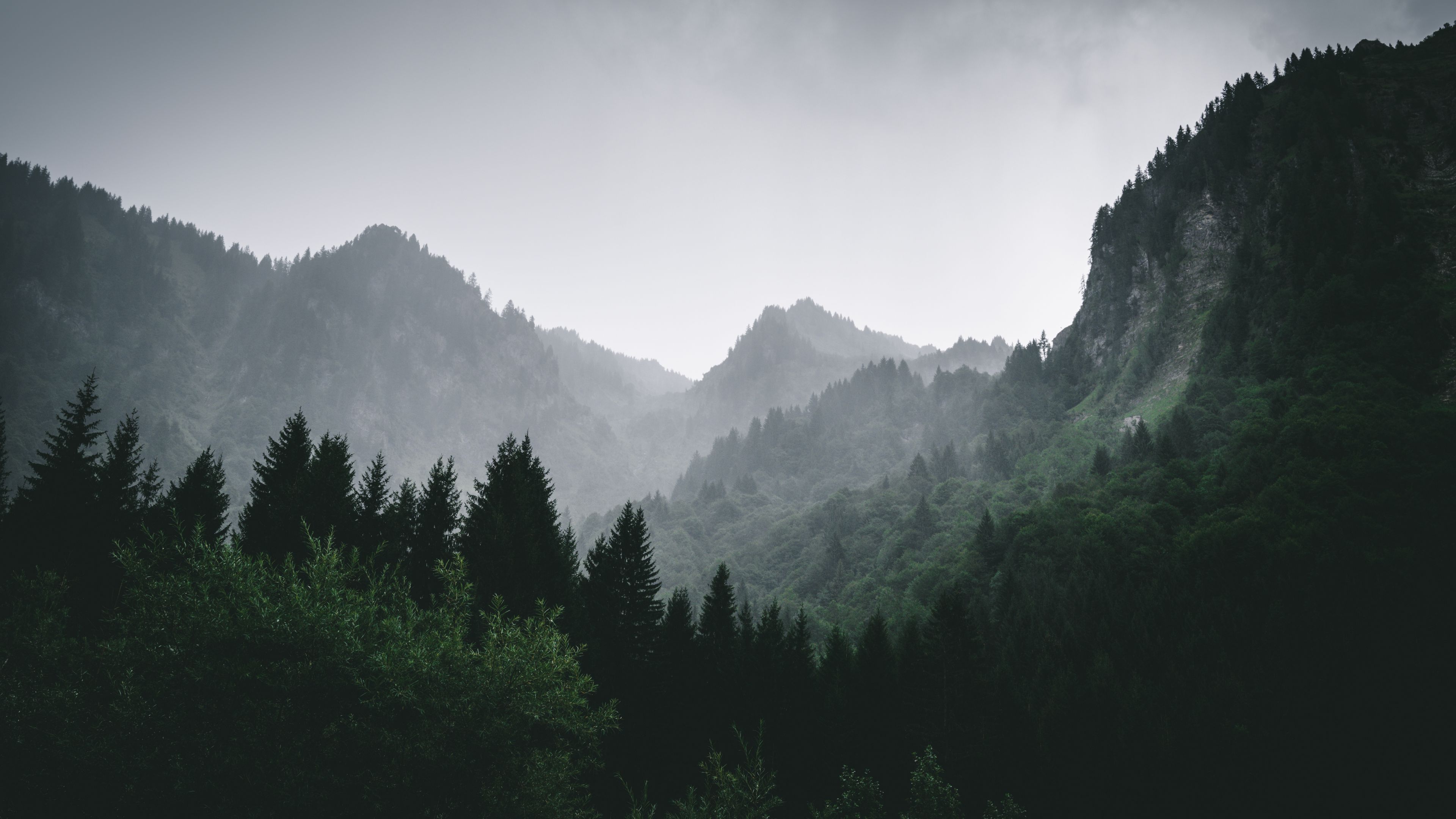Wallpaper / mountains, forest, fog, landscape, 4k free download