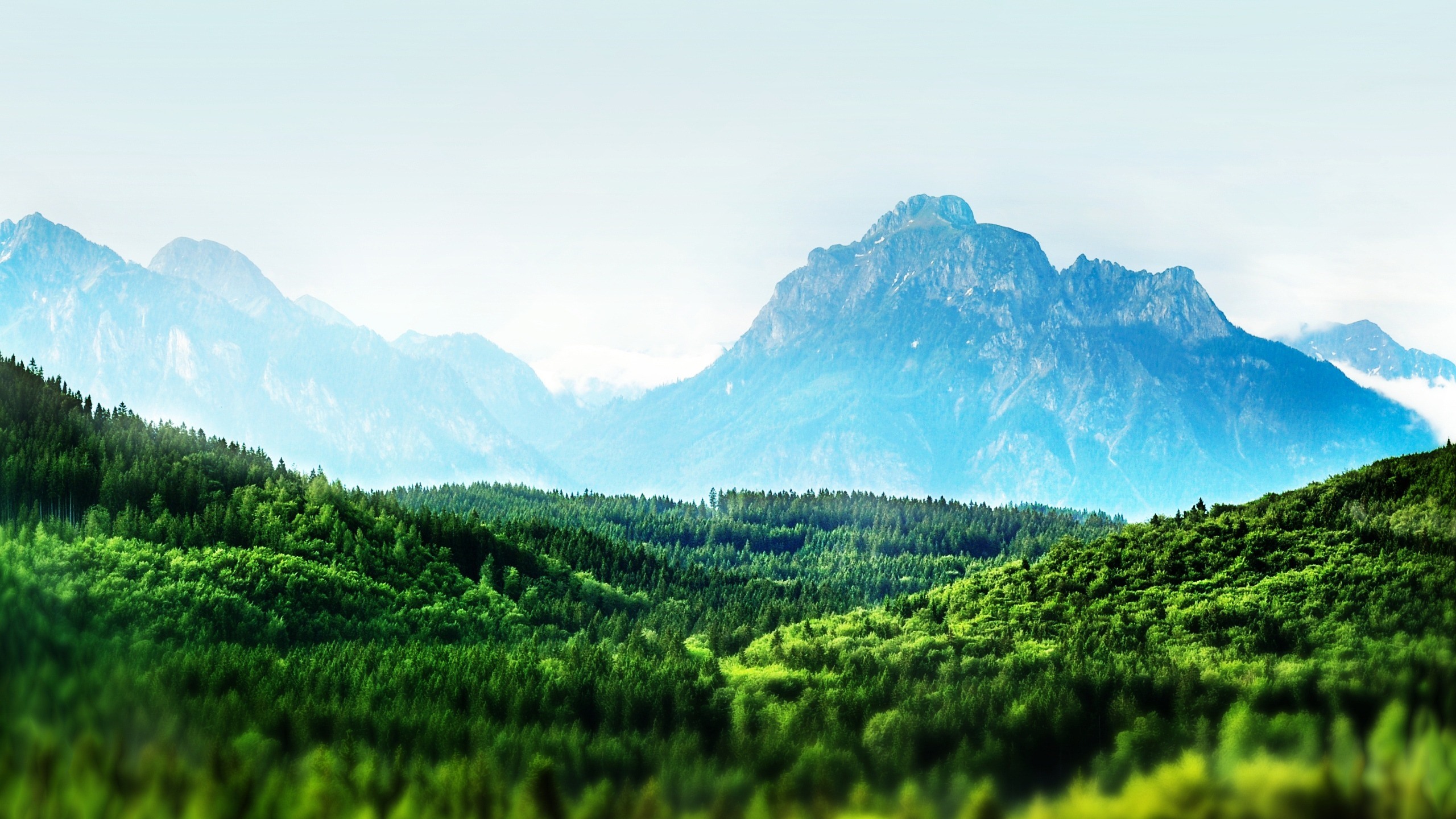 Wallpaper Mountains, green, forest, nature scenery 2560x1600 HD Picture, Image