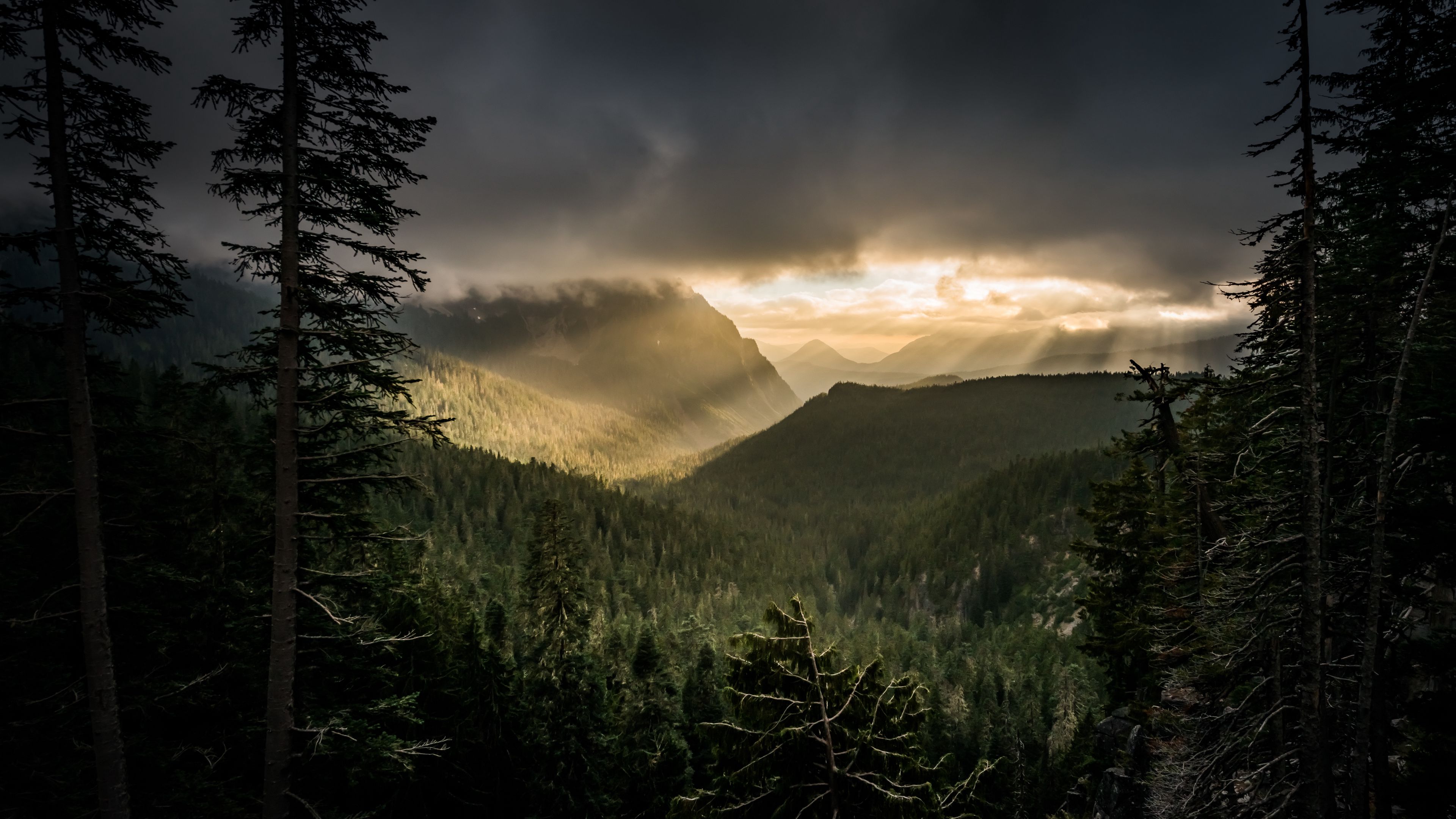 Wallpaper / mountains, rays, forest, fog, 4k free download
