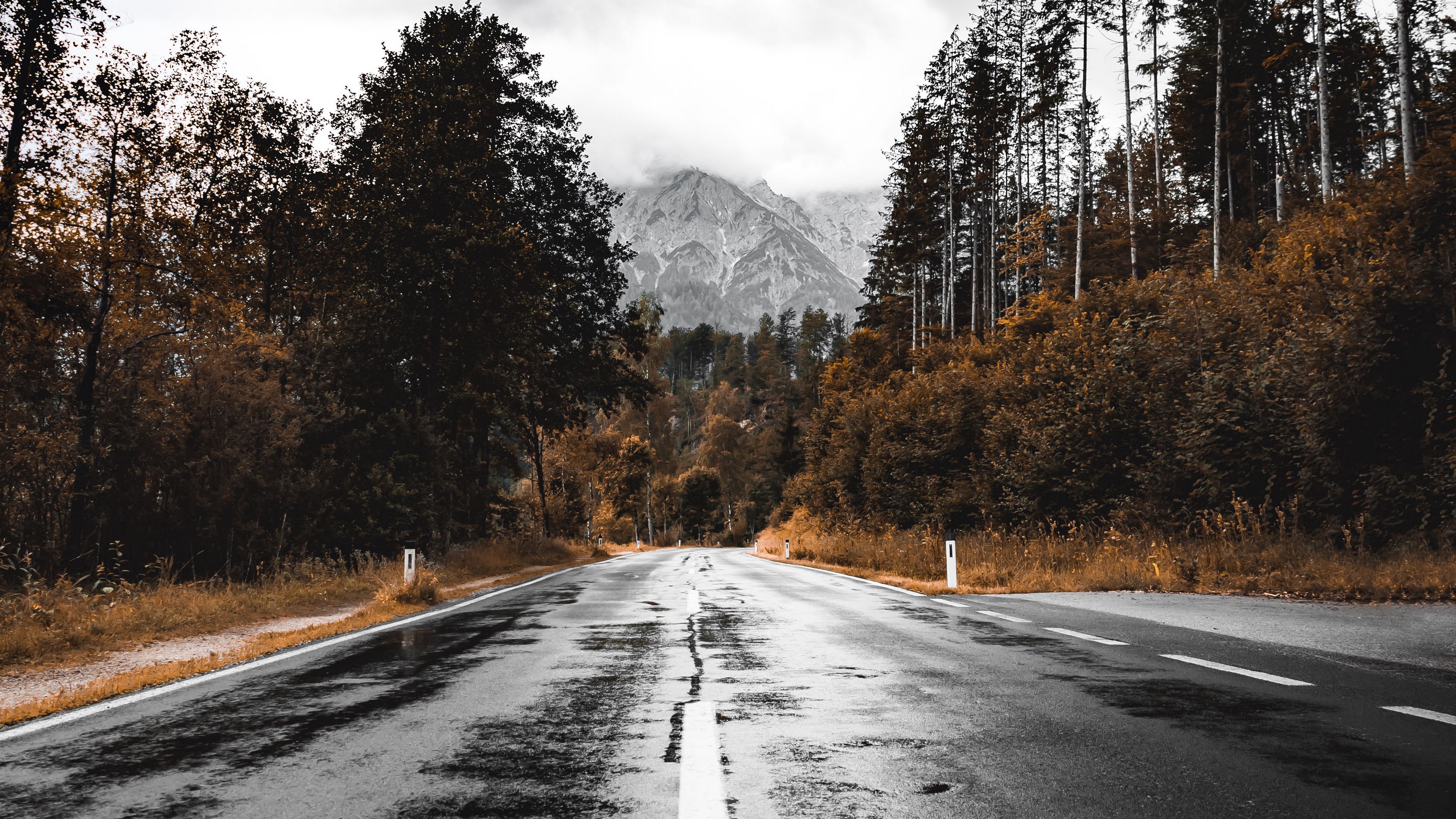 Download wallpaper 3840x2160 road, asphalt, wet, forest, mountains 4k uhd 16:9 HD background