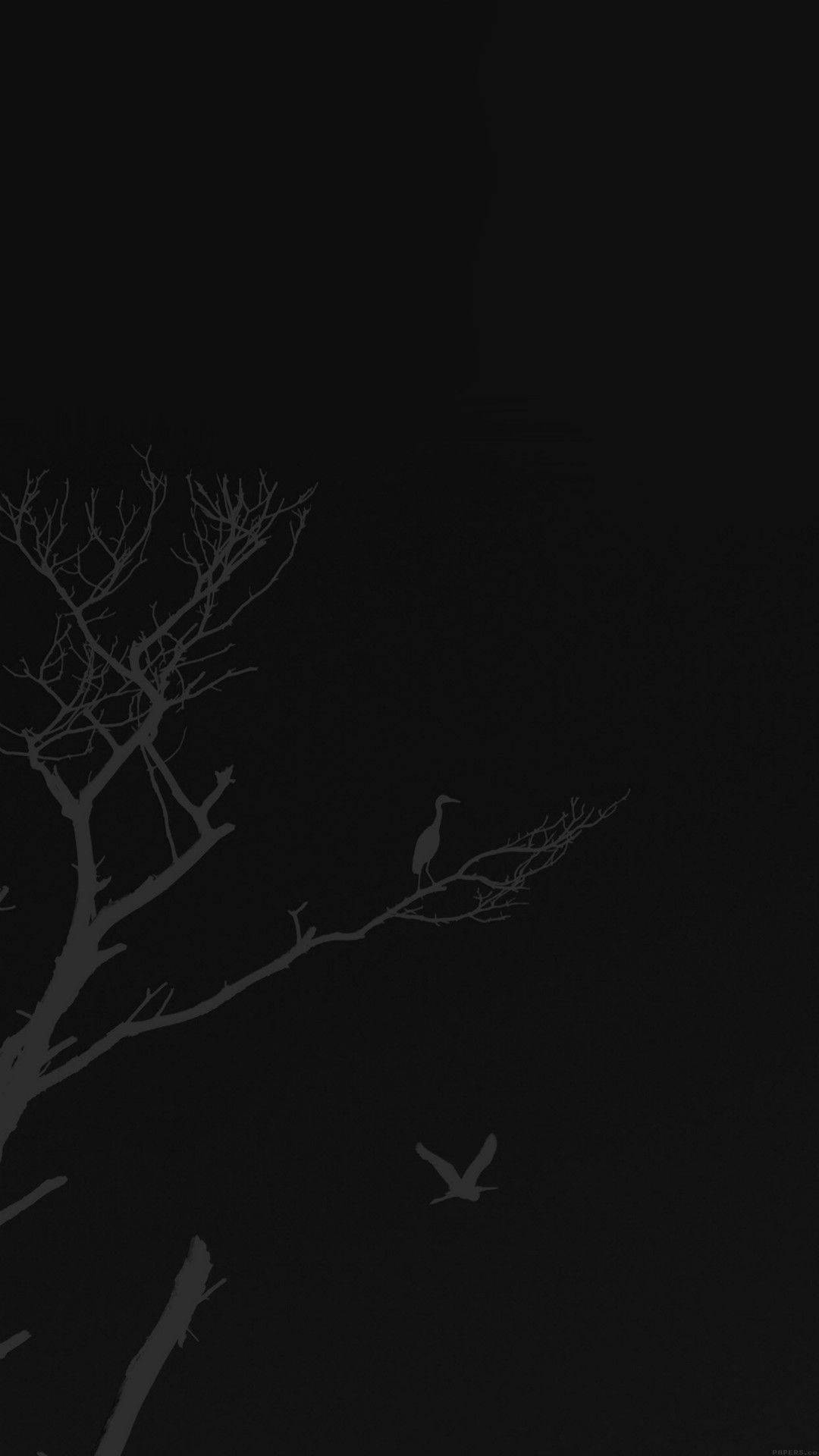 Download Minimalist Tree Graphic Beautiful Dark Background Wallpaper