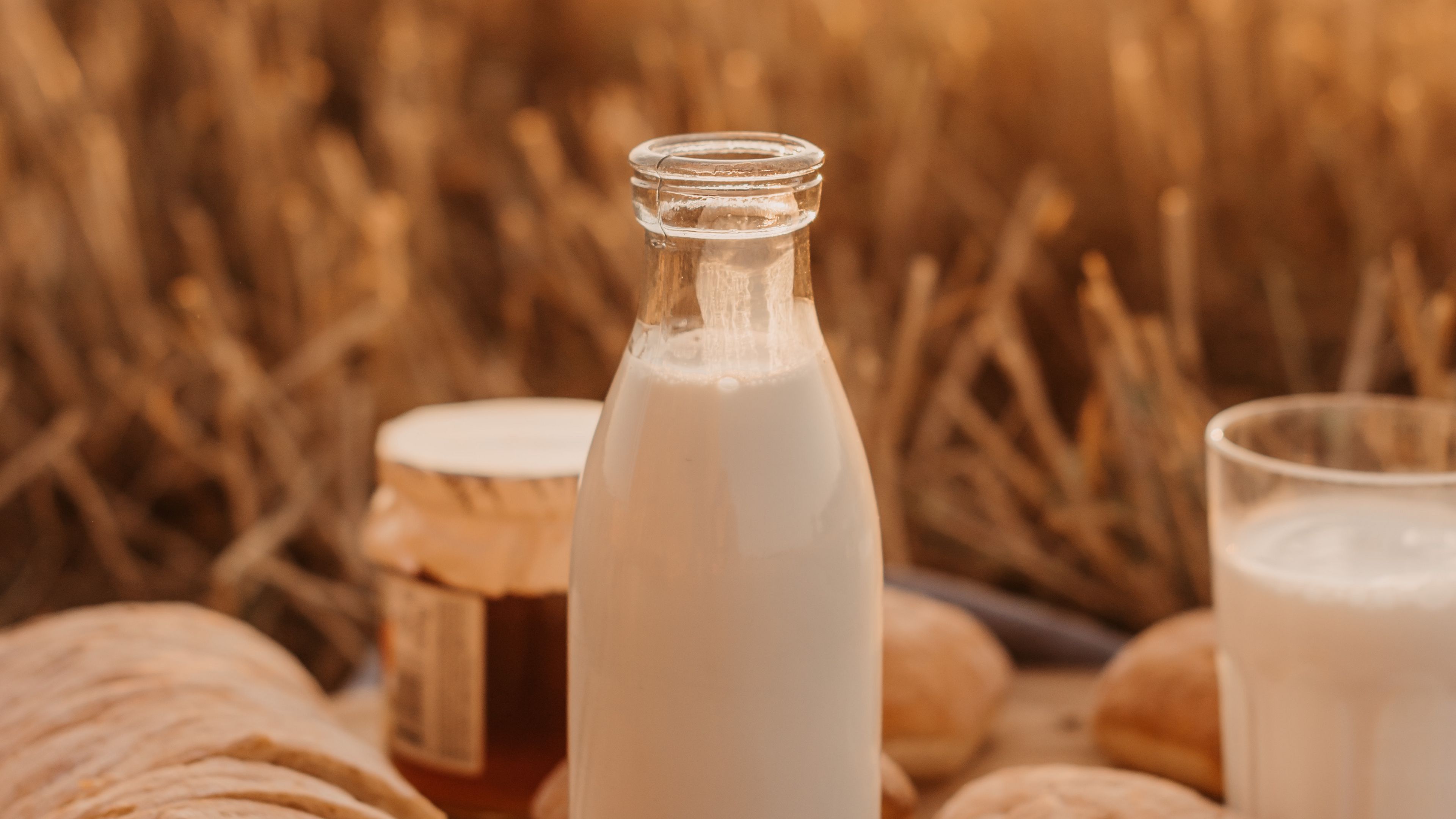 Milk splash on natural background - vertical Vector Image