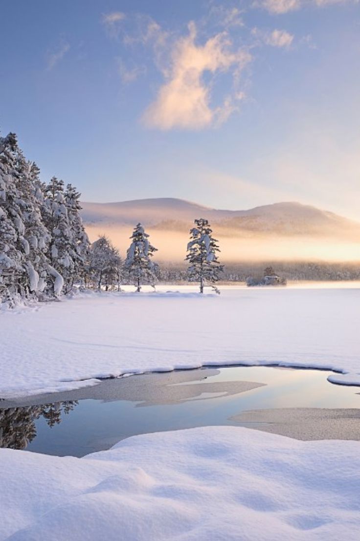 view winter lake snow fog nature. Winter landscape, Winter scenes, Winter wallpaper