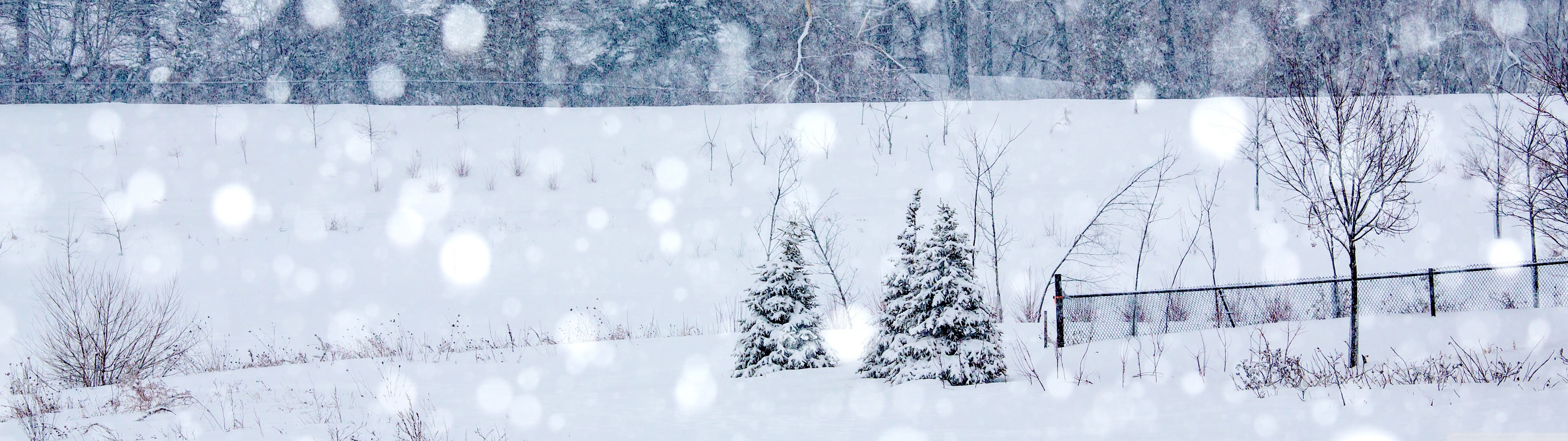 Winter Snowing Ultra HD Desktop Background Wallpaper for: Widescreen & UltraWide Desktop & Laptop, Multi Display, Dual Monitor, Tablet