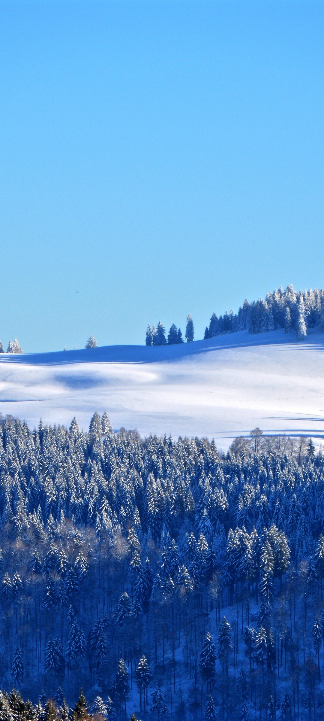 Winter forest Wallpaper 4K, Snow, Trees, Hill, Sky view