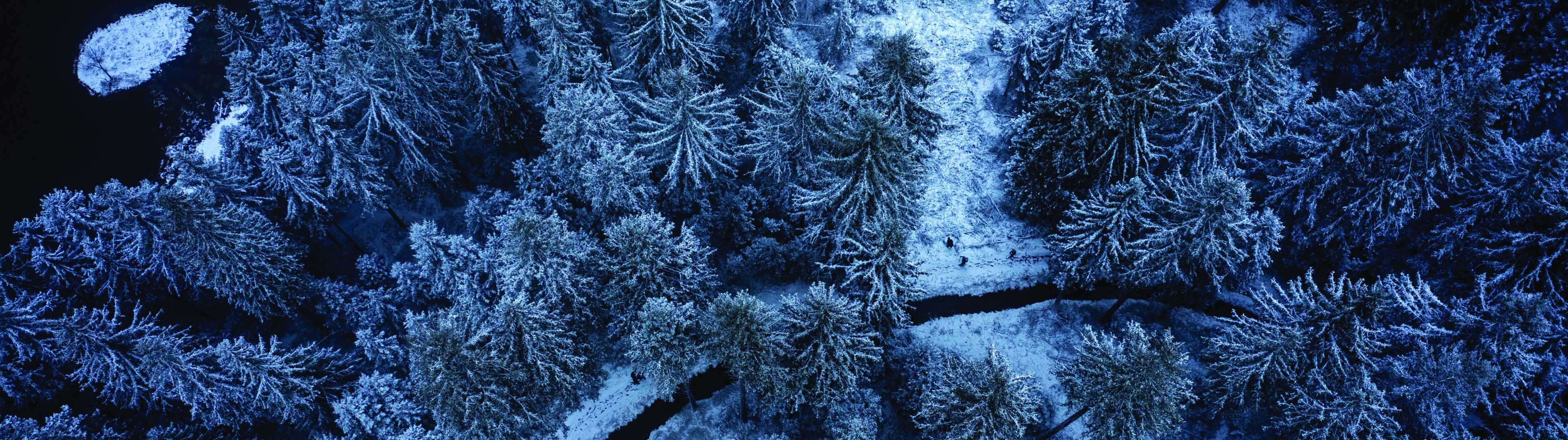 Frozen Path