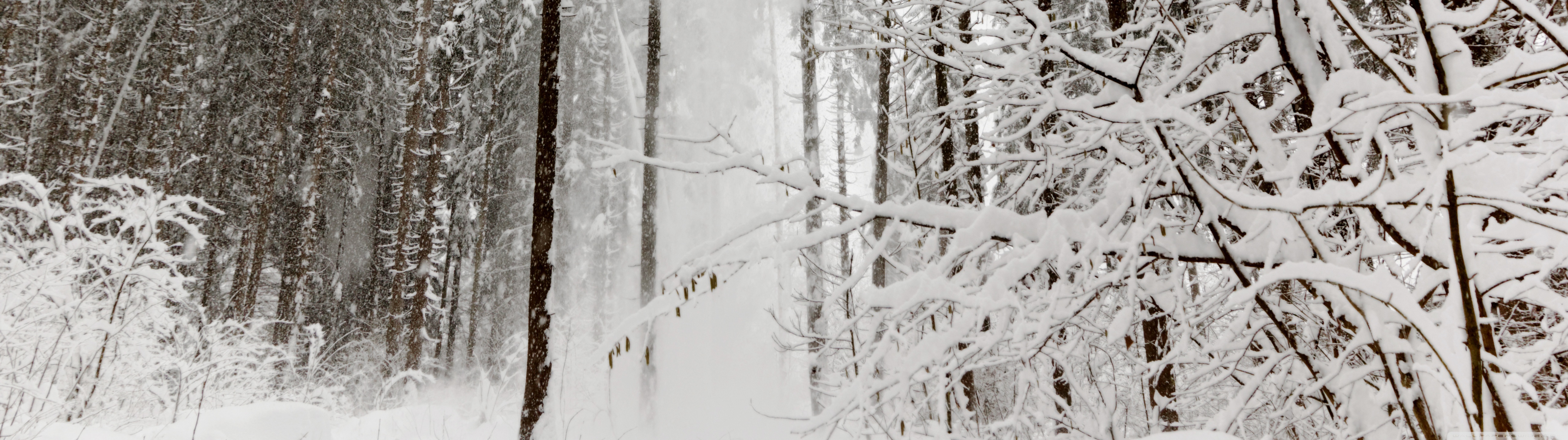 Snow in Austria Ultra HD Desktop Background Wallpaper for: Widescreen & UltraWide Desktop & Laptop, Multi Display, Dual Monitor, Tablet