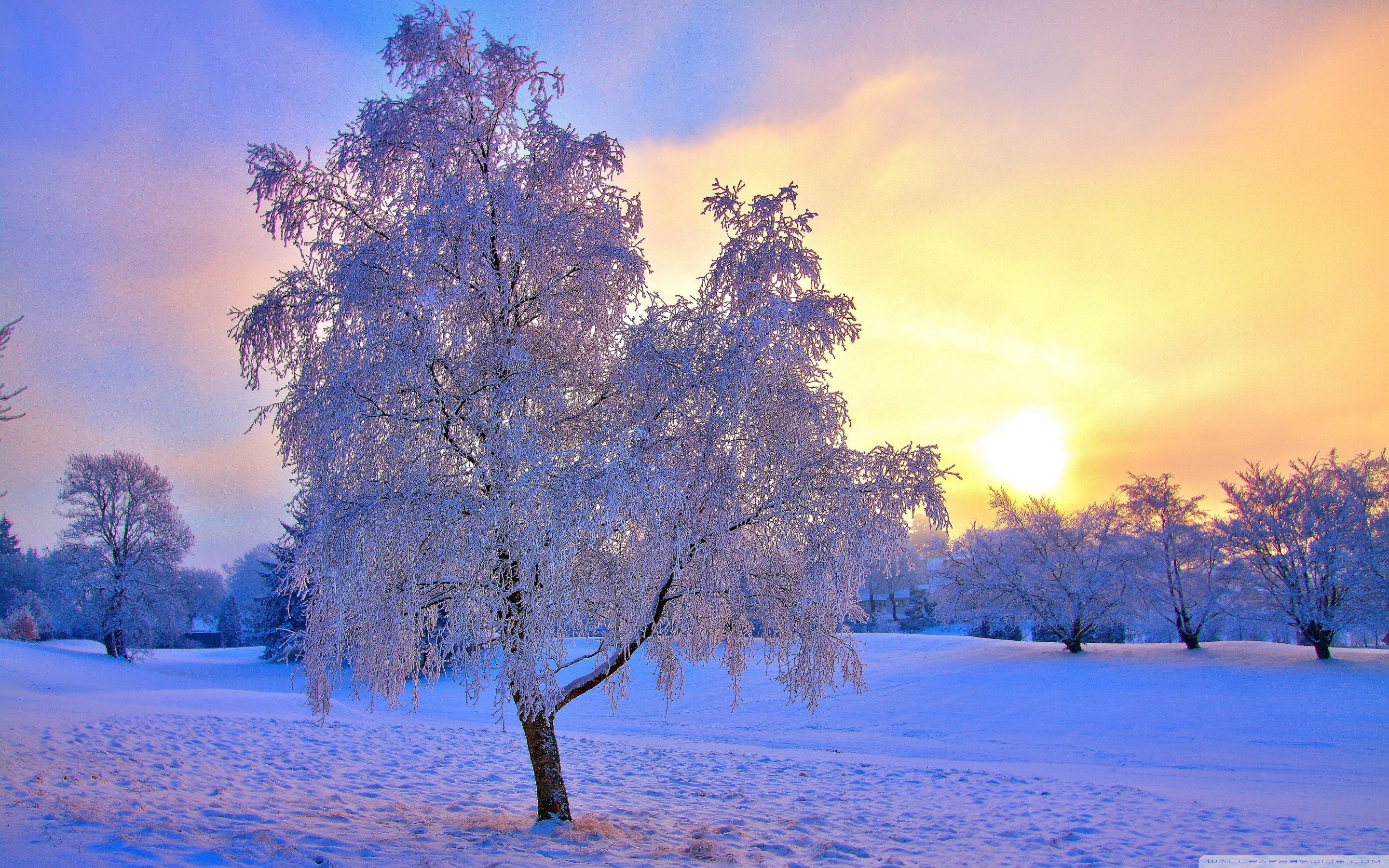 Winter Evening Light Ultra HD Desktop Background Wallpaper for 4K UHD TV, Tablet