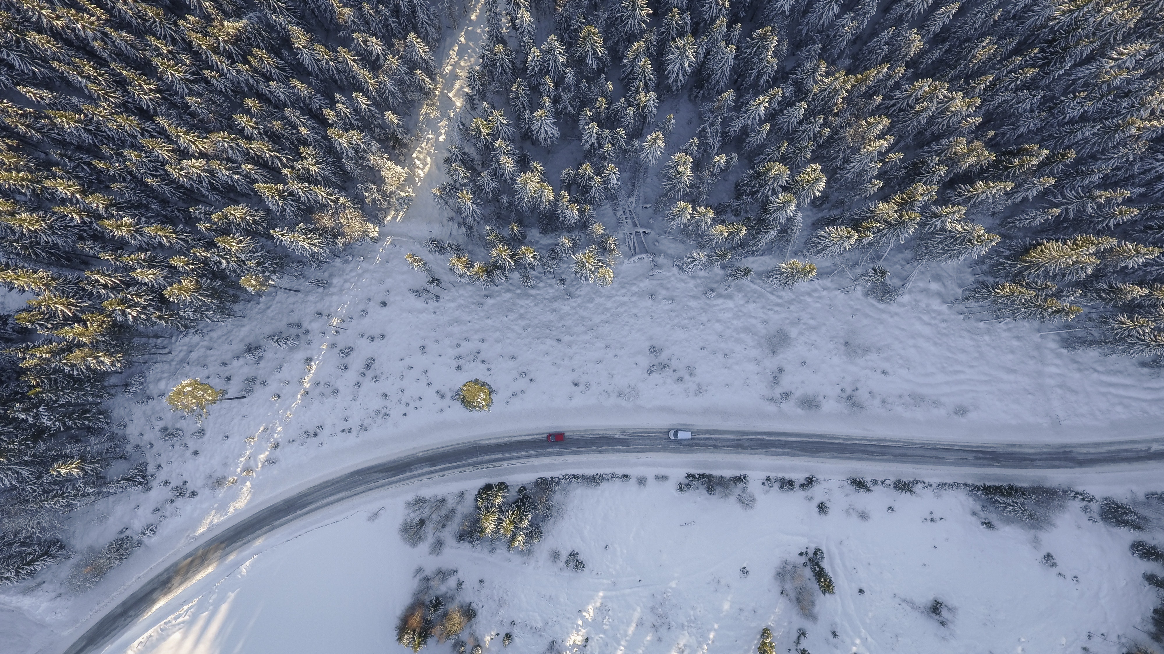 Birds Eye Aerial View Of Road Trees Winter 4k, HD Nature, 4k Wallpaper, Image, Background, Photo and Picture