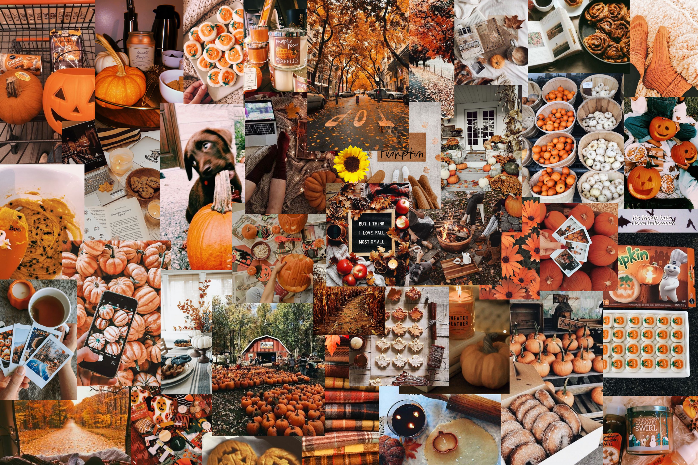 Halloween desktop wallpaper, Fall computer background, Cute fall wallpaper