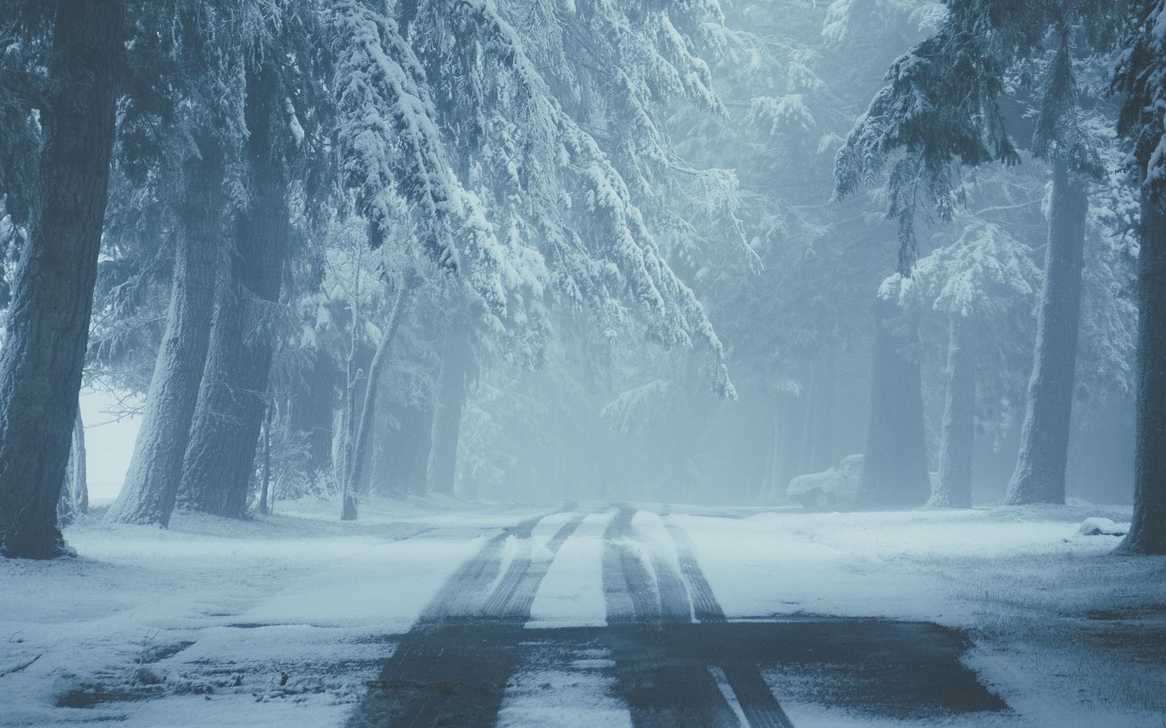 Download wallpaper 1680x1050 road, snow, fog, winter, trees, traces widescreen 16:10 HD background