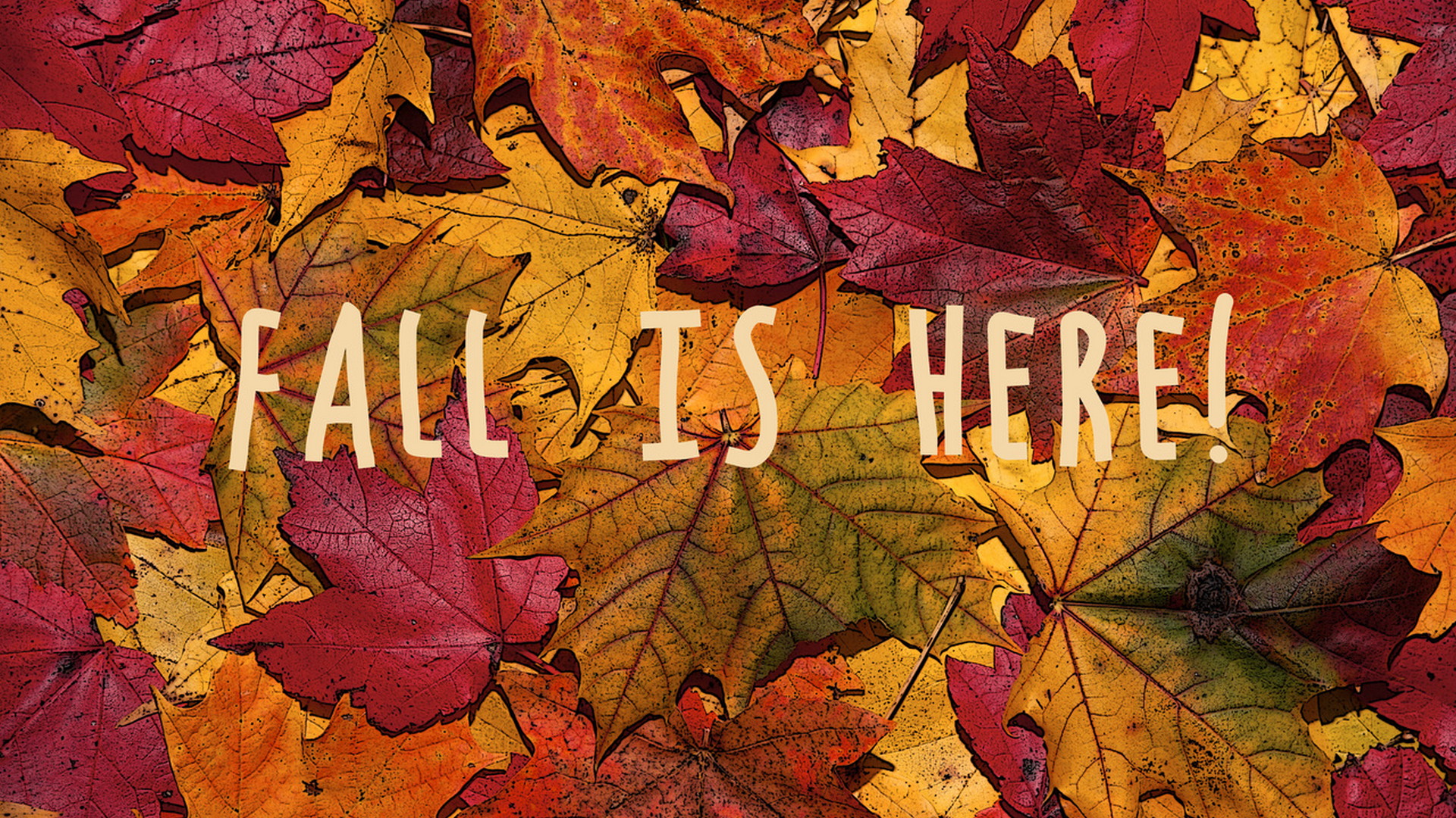 Cute Fall Wallpaper HD Laptop HD 2023