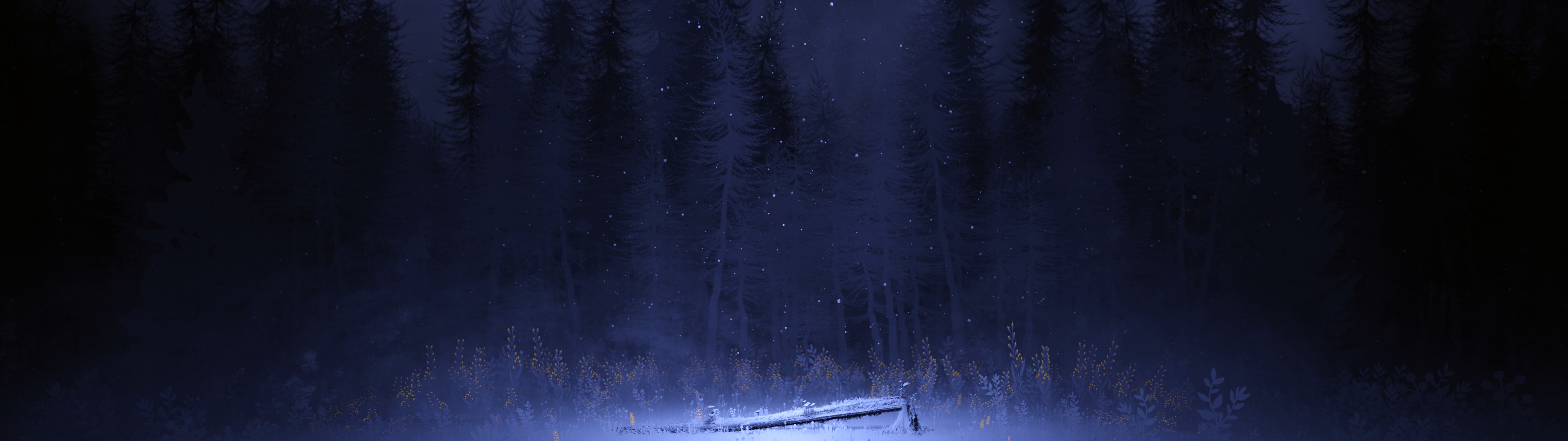 Wallpaper 4K, Night, Forest, Winter, Foggy