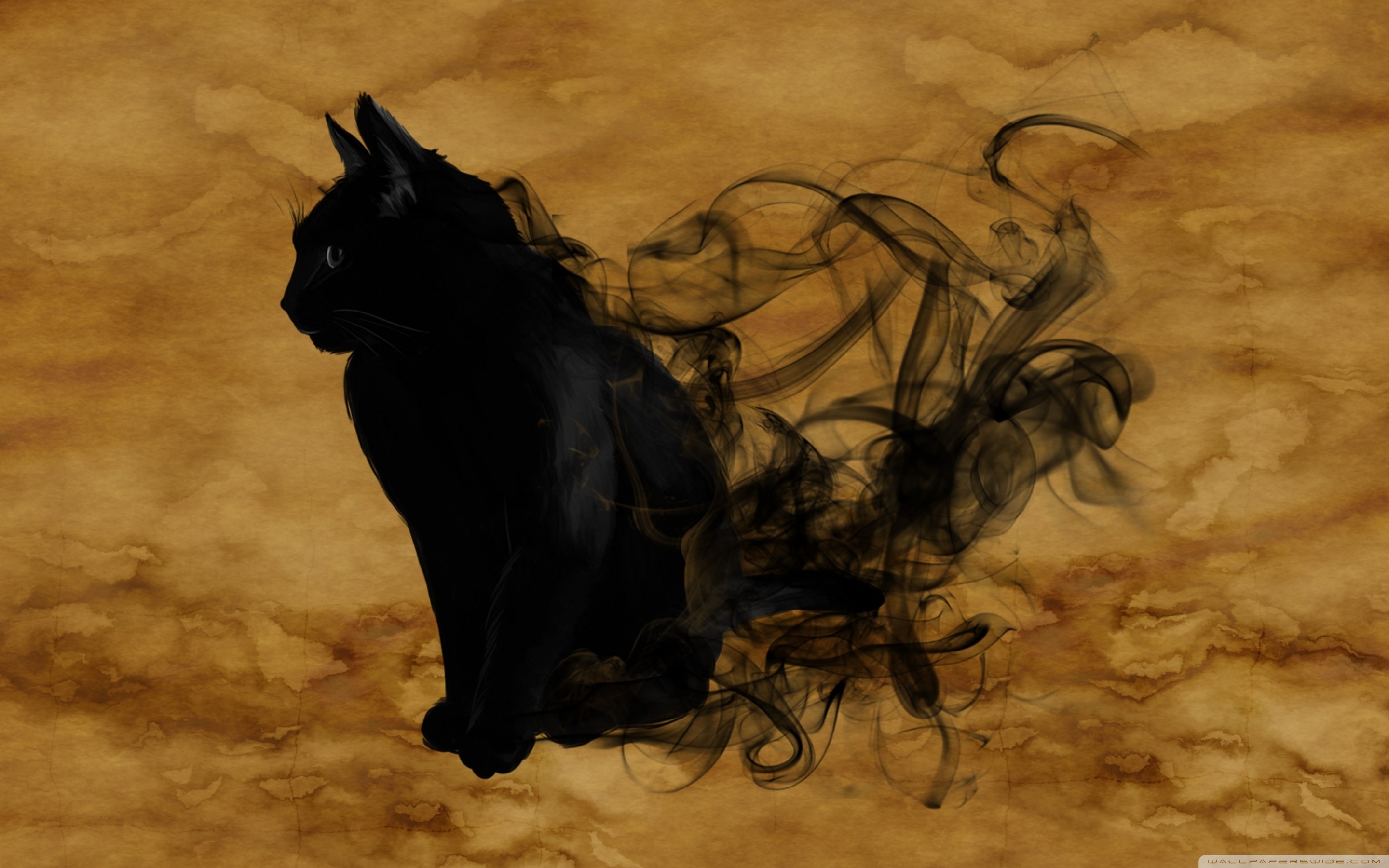 Halloween Black Cat Ultra HD Desktop Background Wallpaper for 4K UHD TV, Widescreen & UltraWide Desktop & Laptop, Tablet