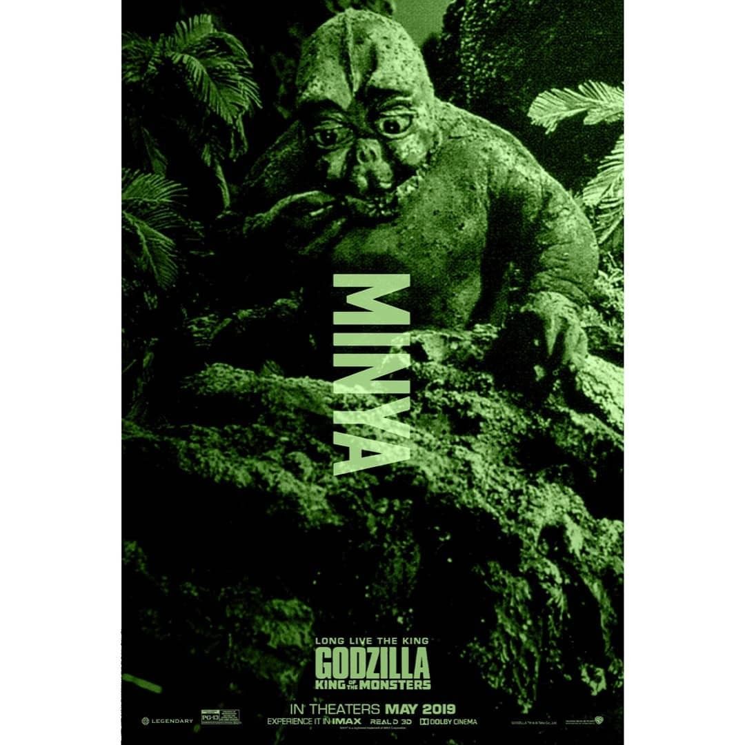 Minilla. Godzilla, Godzilla funny, All godzilla monsters