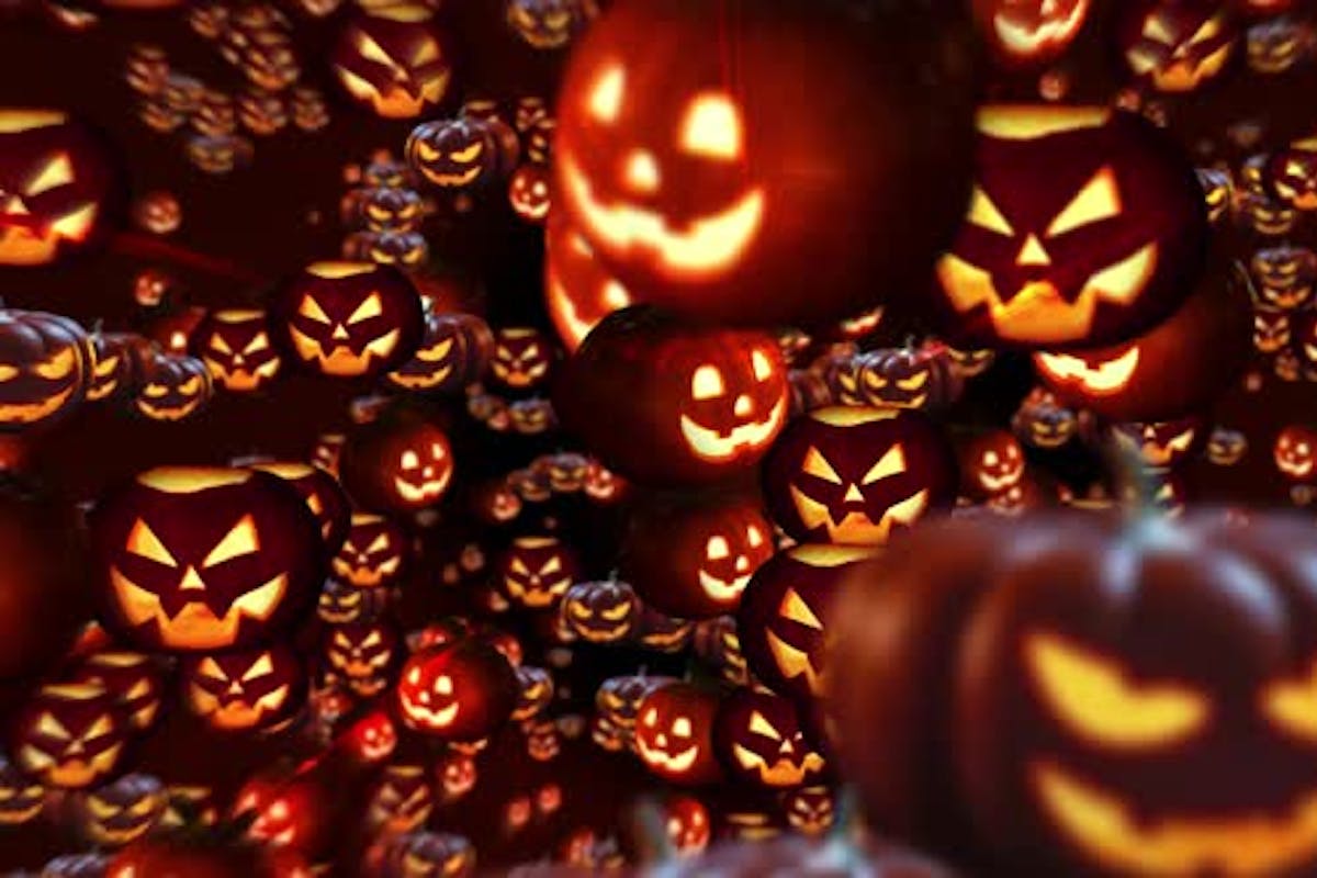 Halloween Pumpkins Background, Stock Video