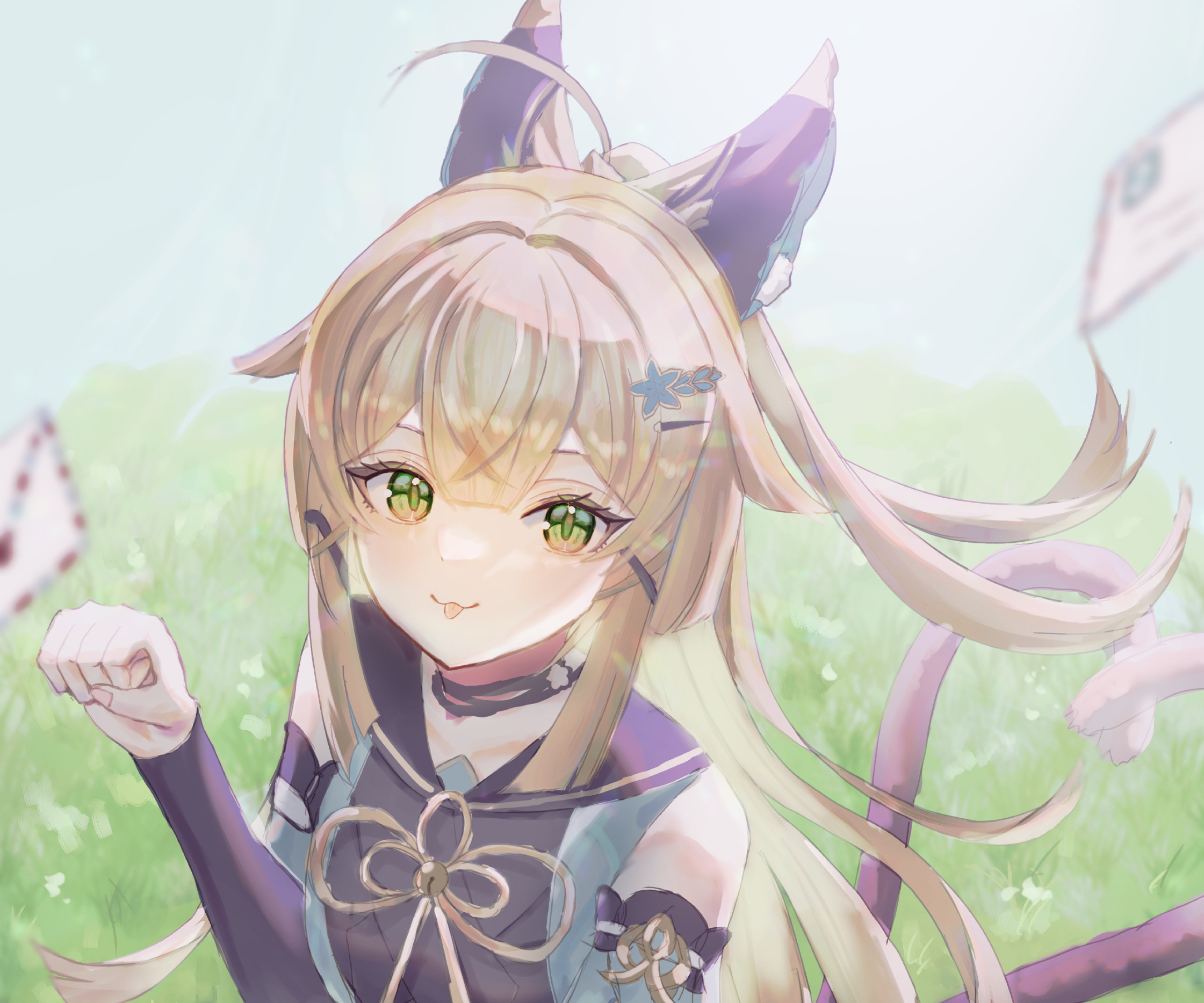 Kirara (Genshin Impact) HD Wallpaper and Background