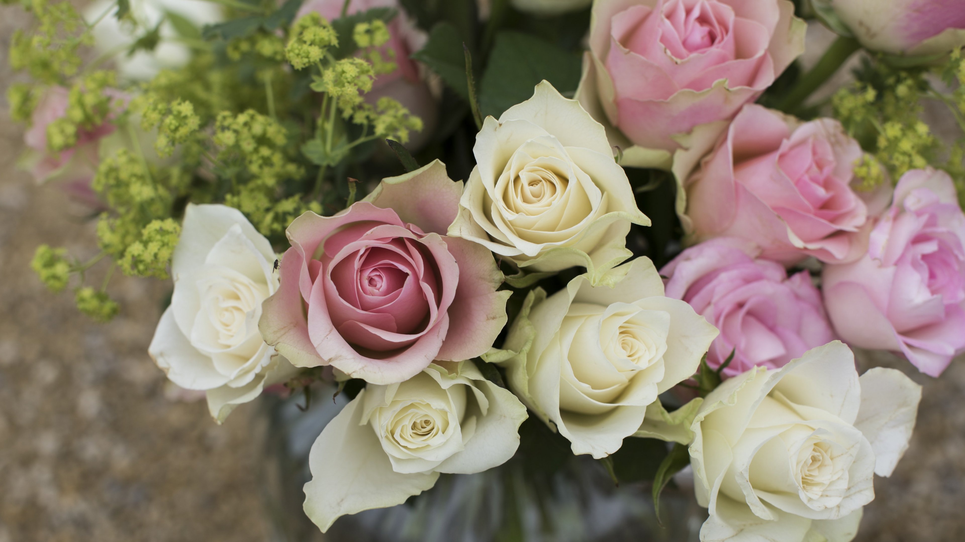 Pink & White Roses in a Vase Wallpaper, Android & Desktop Background