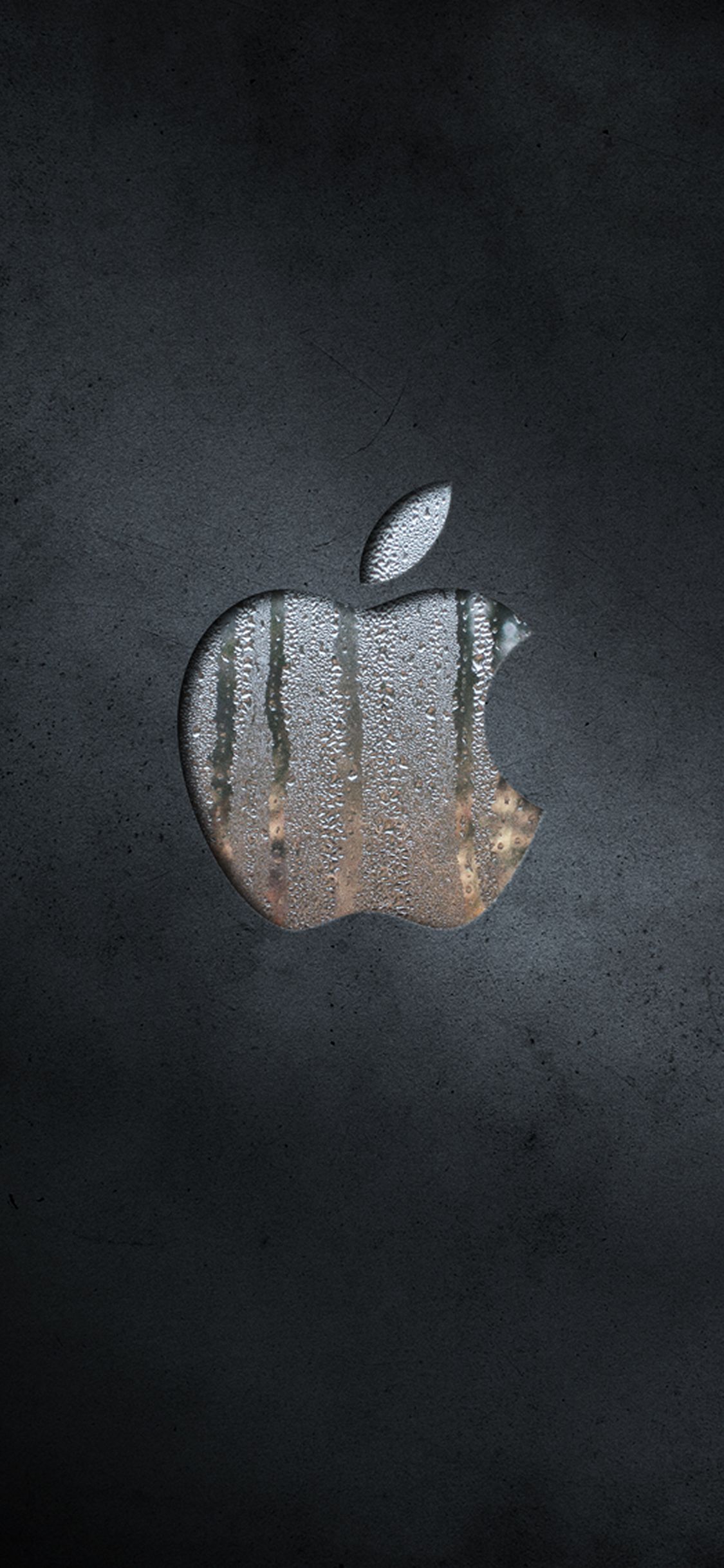 Apple Logo iPhone Wallpaper