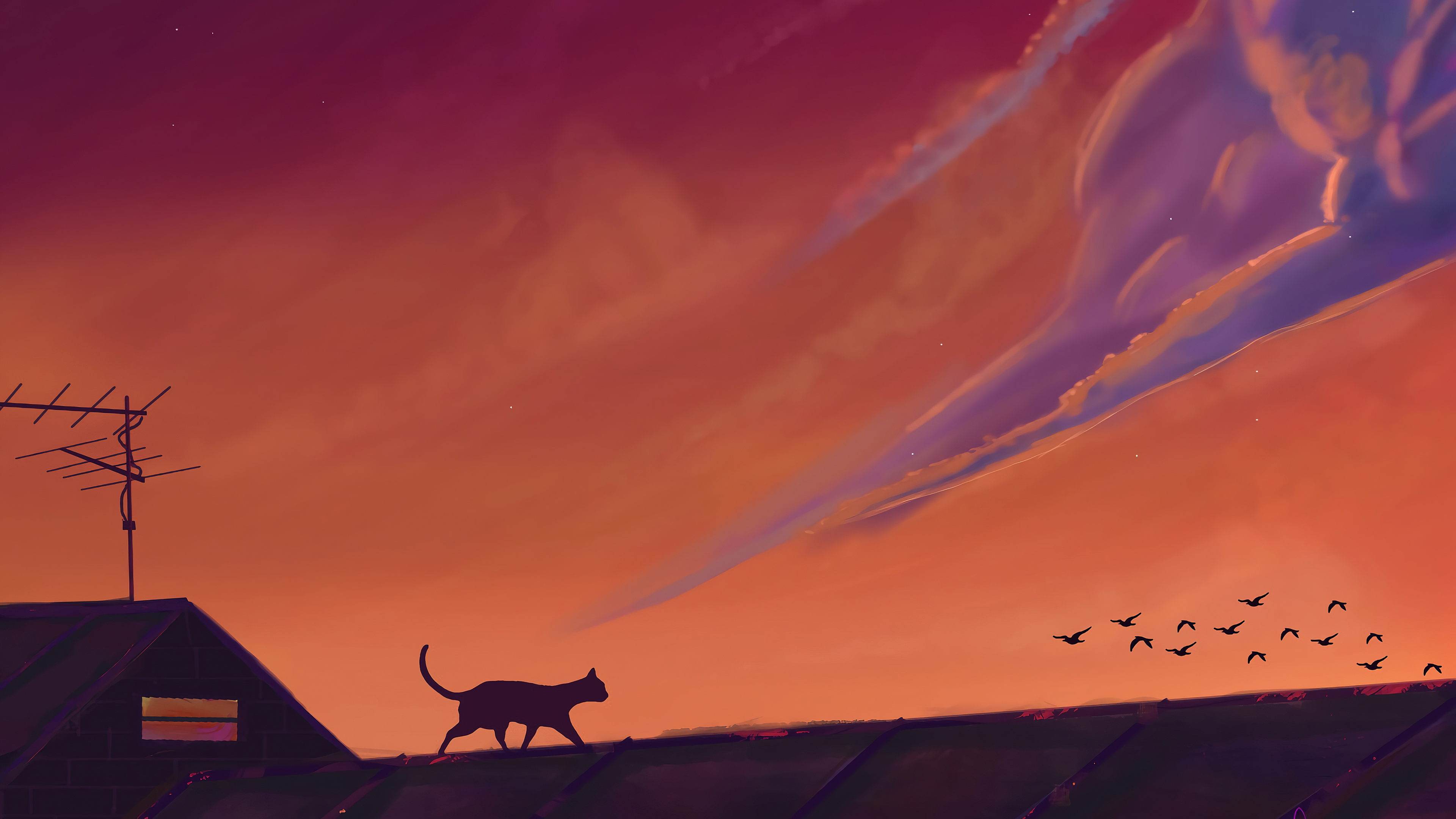 Cat Sky Nature Scenery Digital Art 4k