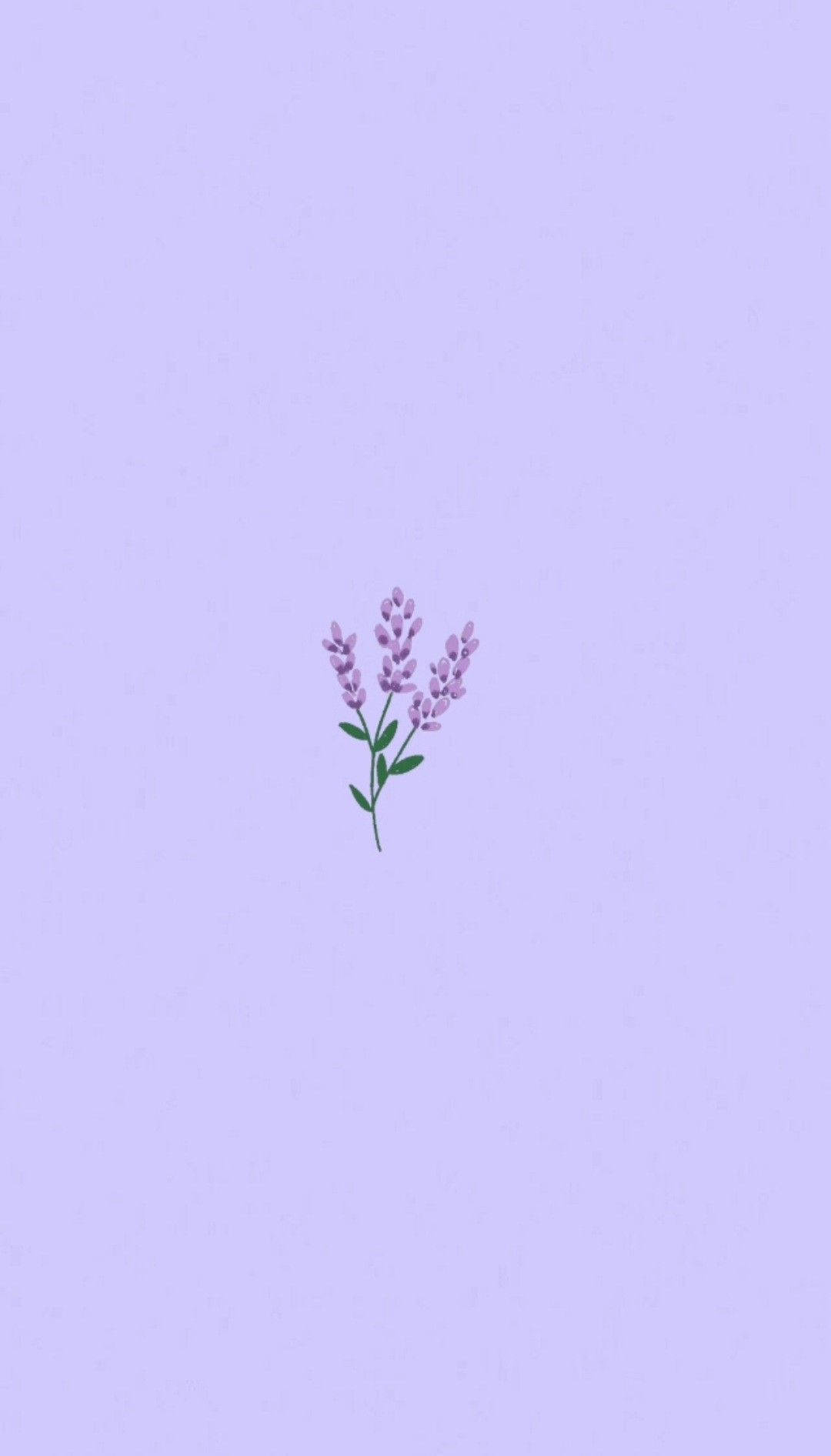 Download Lavender Flowers Aesthetic Art