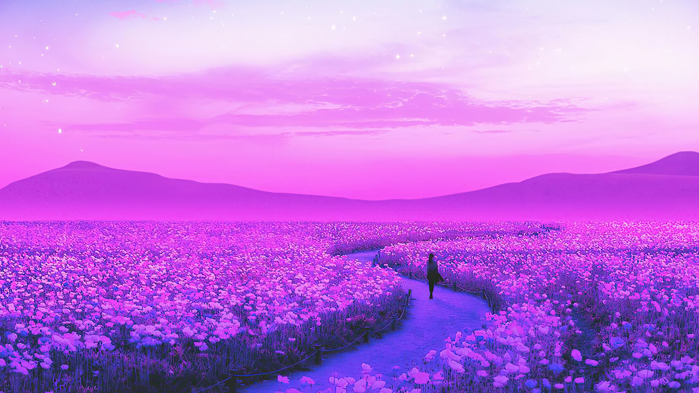 Day Dreaming Lavender Field 4k 1366x768 Resolution HD 4k Wallpaper, Image, Background, Photo and Picture