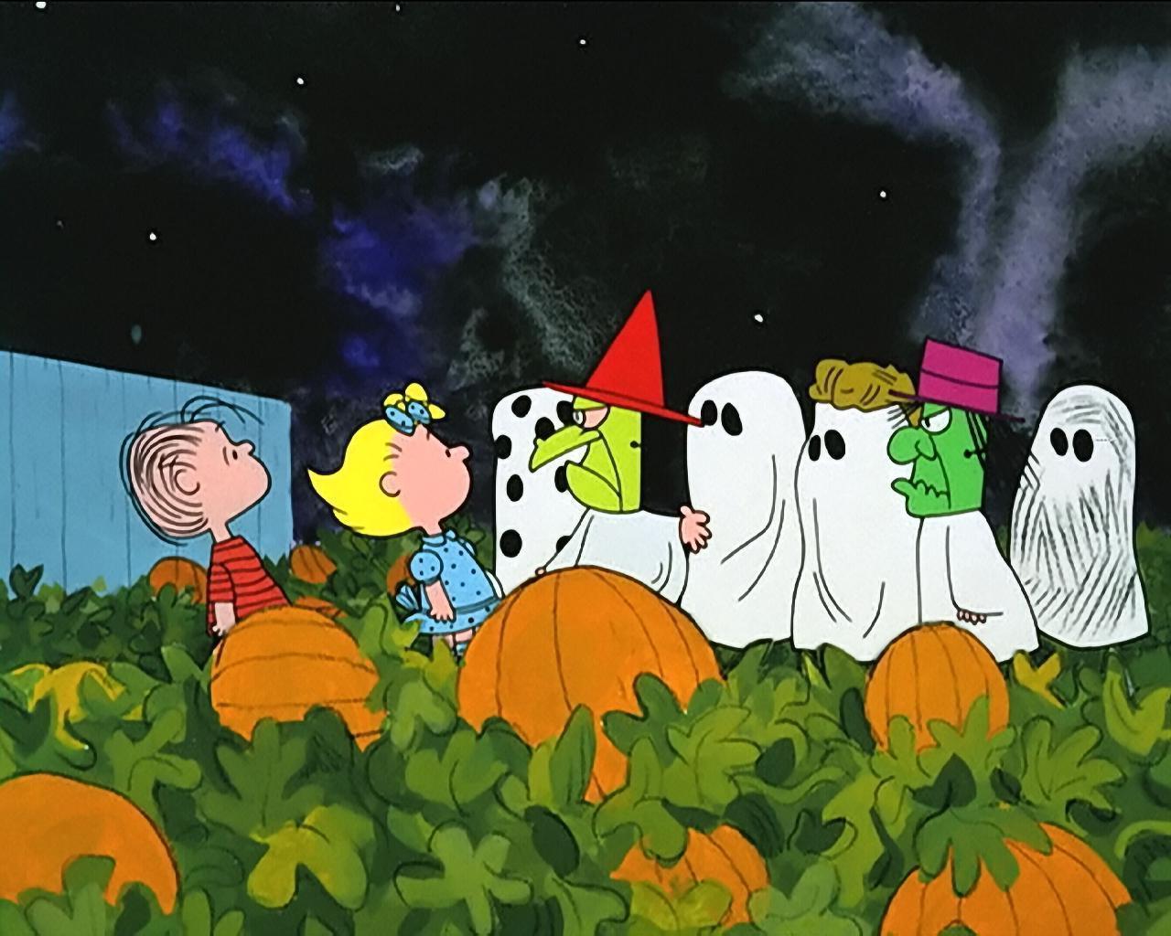 Free download Great Pumpkin Wallpaper [1280x1024] for your Desktop, Mobile & Tablet. Explore Great Pumpkin Wallpaper. Pumpkin Background, Pumpkin Wallpaper, Pumpkin Wallpaper Free