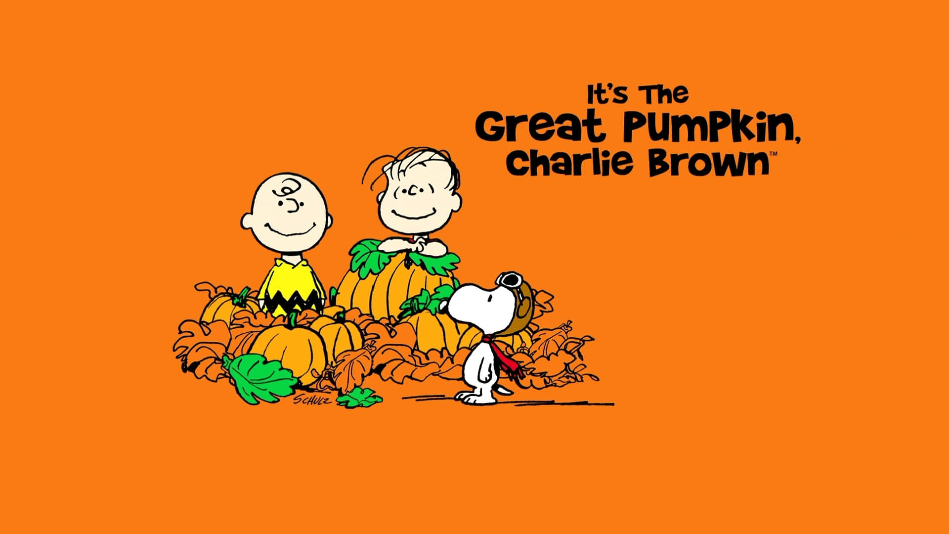 The Great Pumpkin Wallpaper