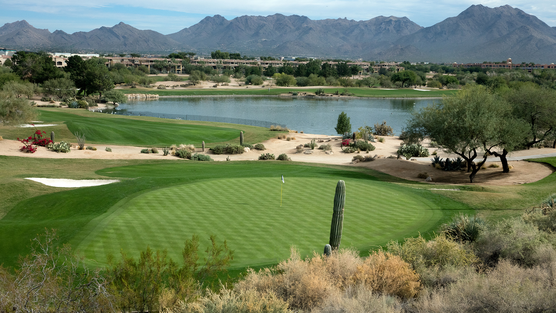 TPC Network Wallpaper