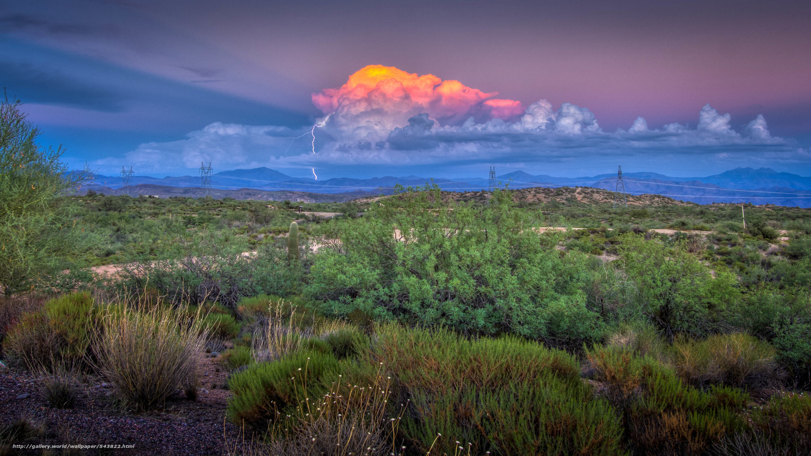 Free download Download wallpaper strike thunderhead Scottsdale Arizona free [1600x900] for your Desktop, Mobile & Tablet. Explore Arizona Free Wallpaper. Arizona Background, Arizona HD Wallpaper, Arizona Desert Wallpaper