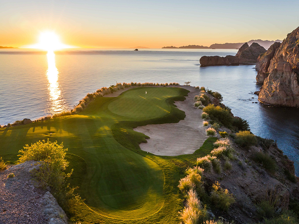 TPC Network Wallpaper