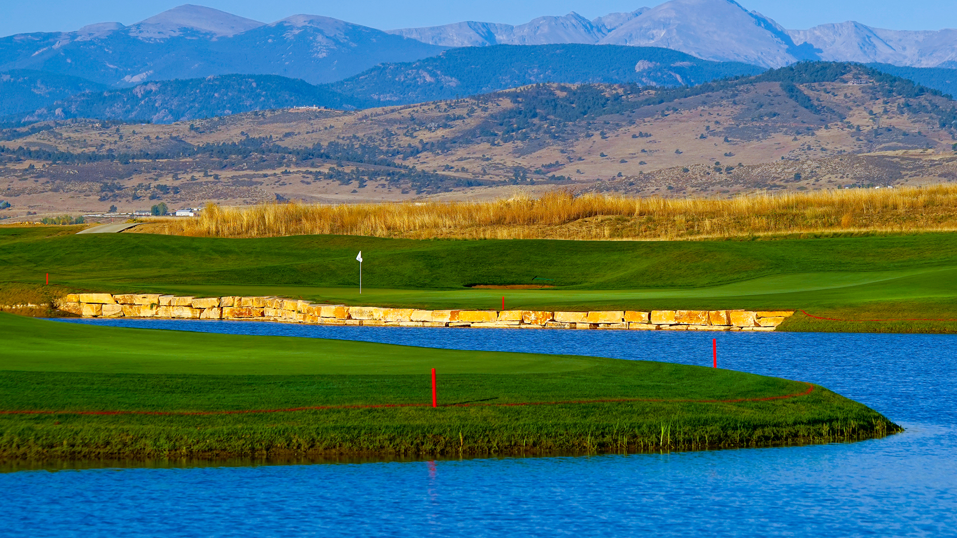 TPC Network Wallpaper