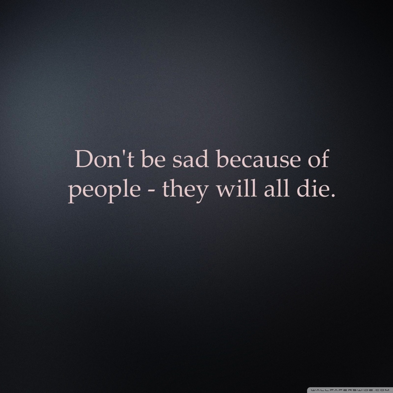 Sarcastic Quote Ultra HD Desktop Background Wallpaper for 4K UHD TV, Multi Display, Dual Monitor, Tablet