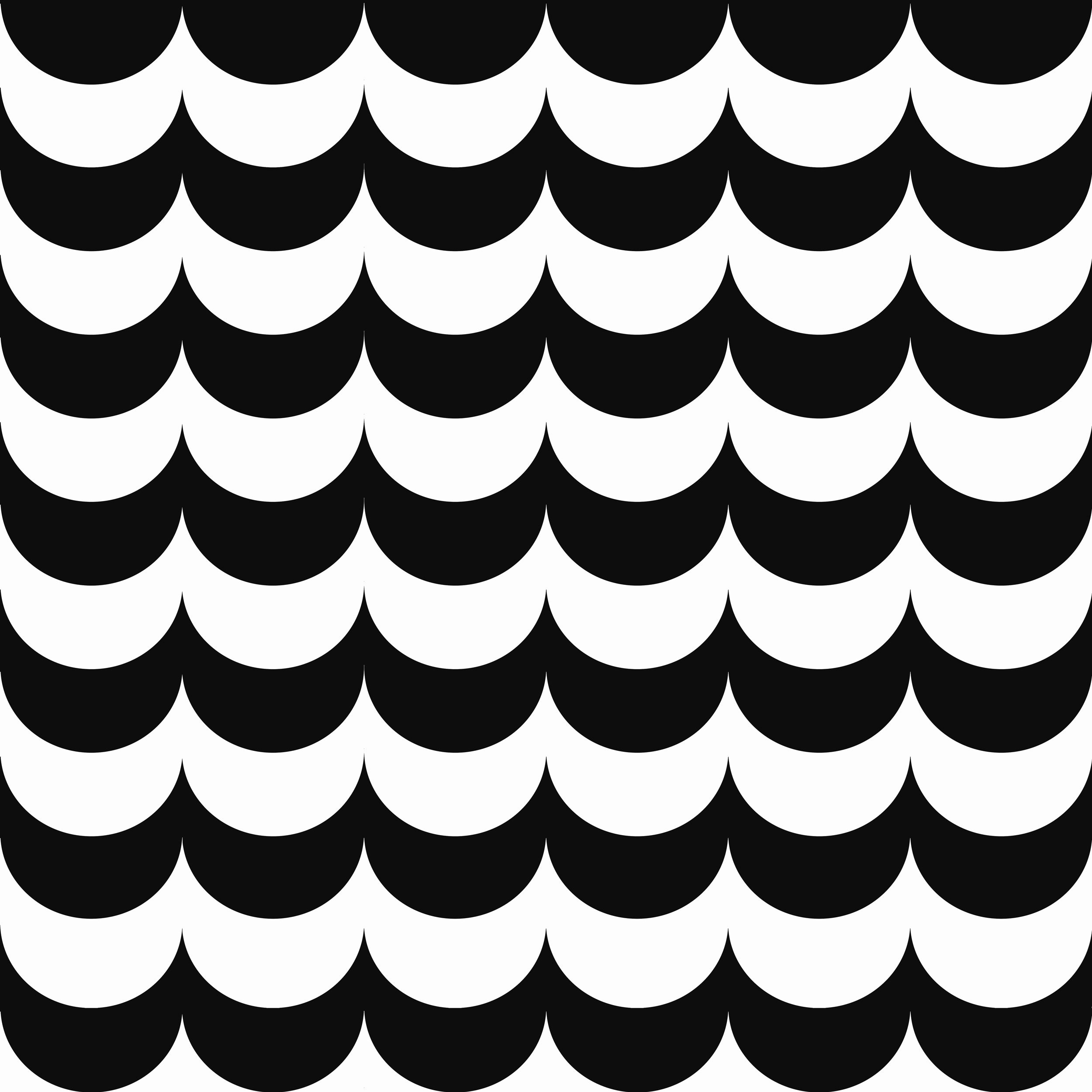 Black and white scallop wallpaper. SCOOP.