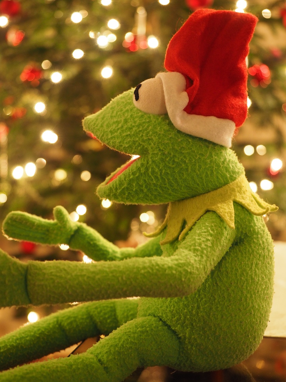 Kermit Frog Christmas