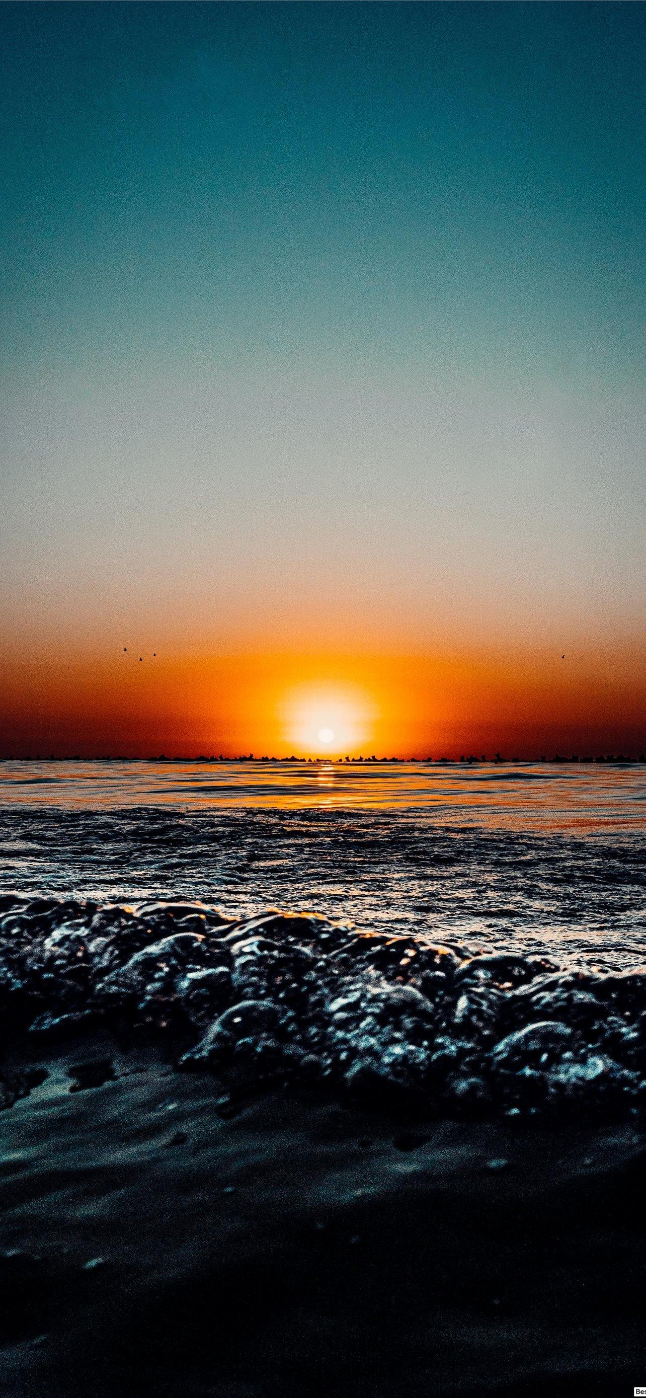 IPhone 14 Pro Max Summer HD Wallpaper