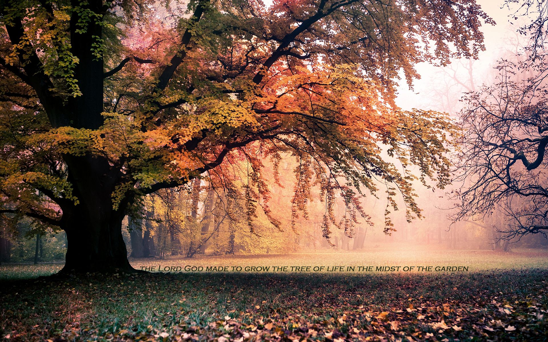 Macbook air wallpaper, Imac wallpaper, Macbook pro wallpaper