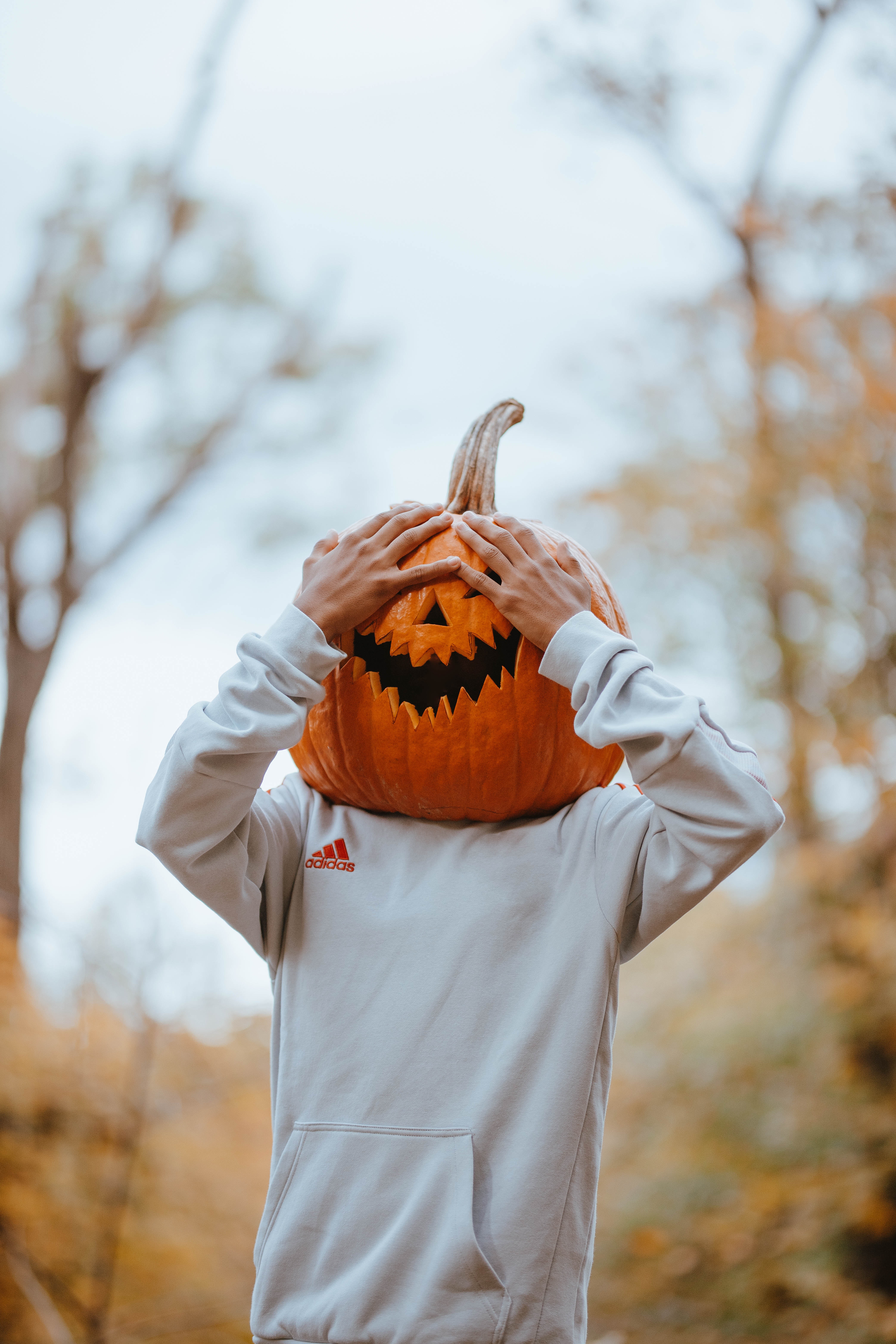 Pumpkin Head Photo, Download The BEST Free Pumpkin Head & HD Image