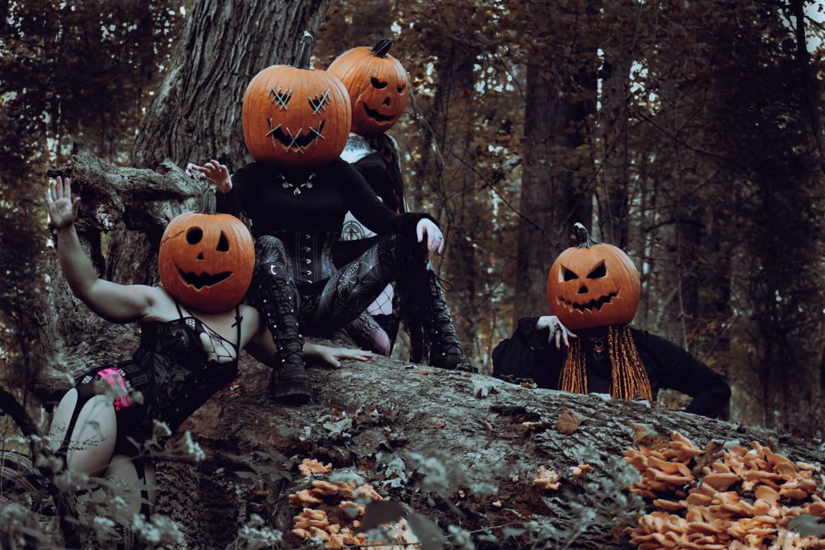 Pumpkin head group shoot. Halloween photography, Pumpkin picture, Pumpkin photo